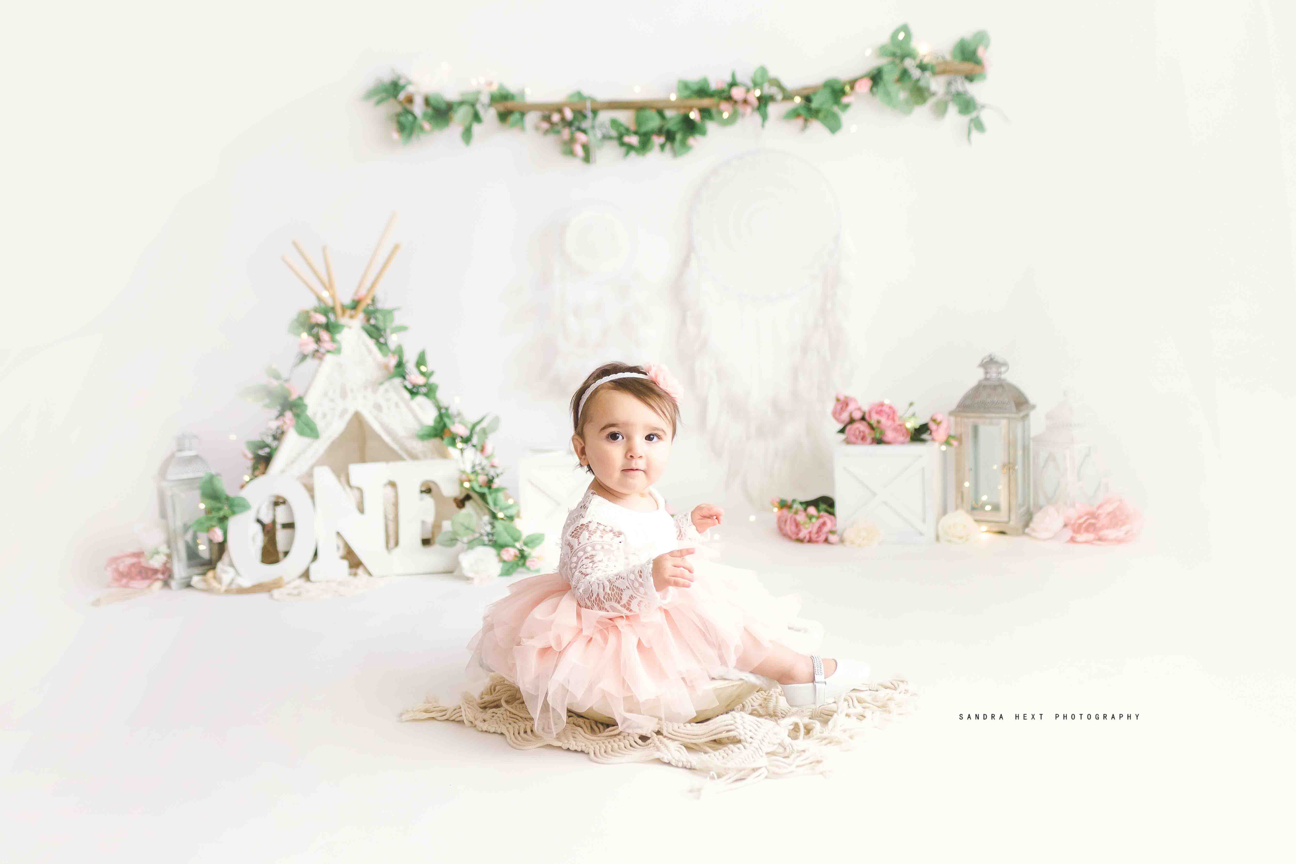Hamilton Cake Smash Photographer | Baby Photography Studio Sessions