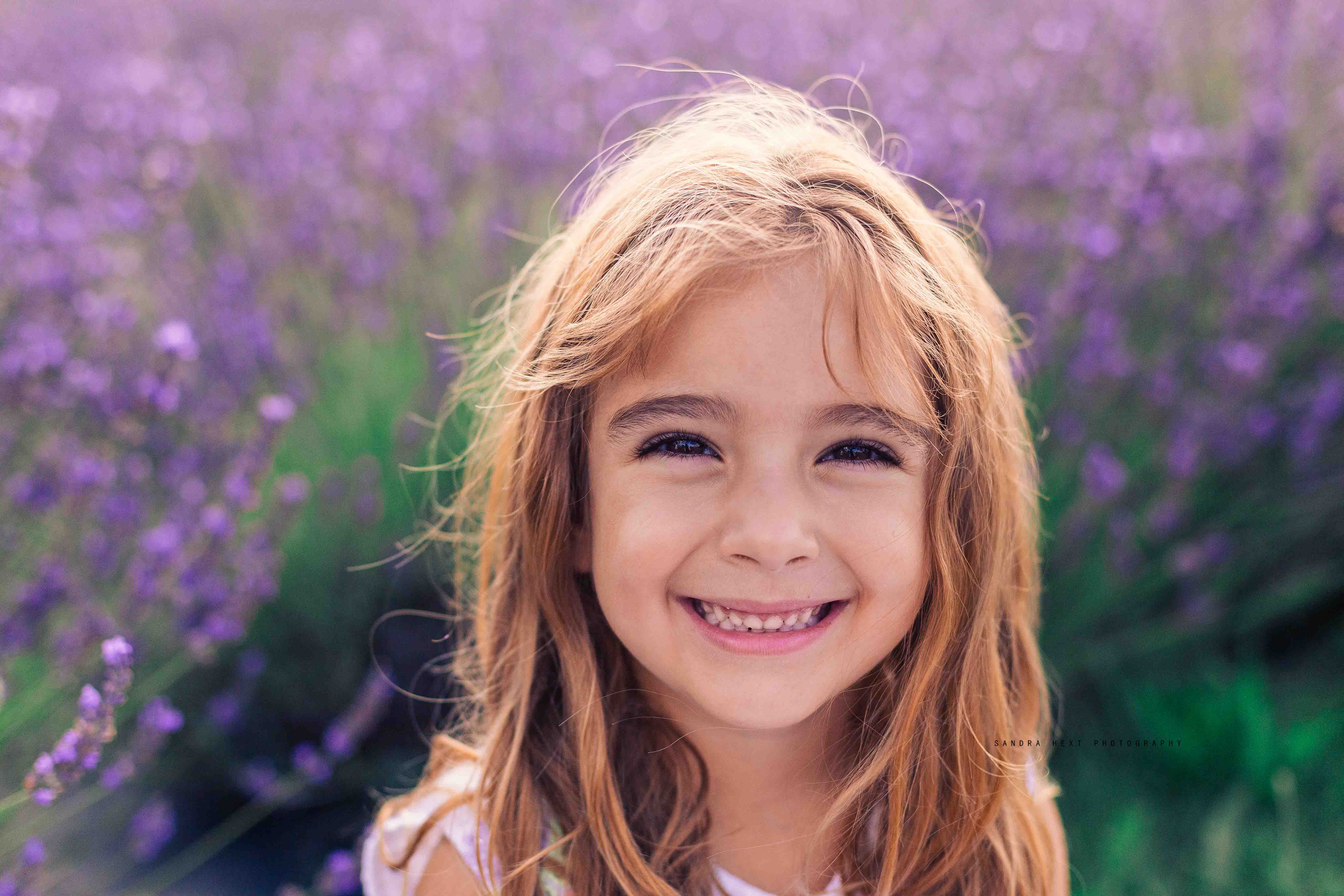 Lavender Field Sessions at Stonewell Lavender Farm |