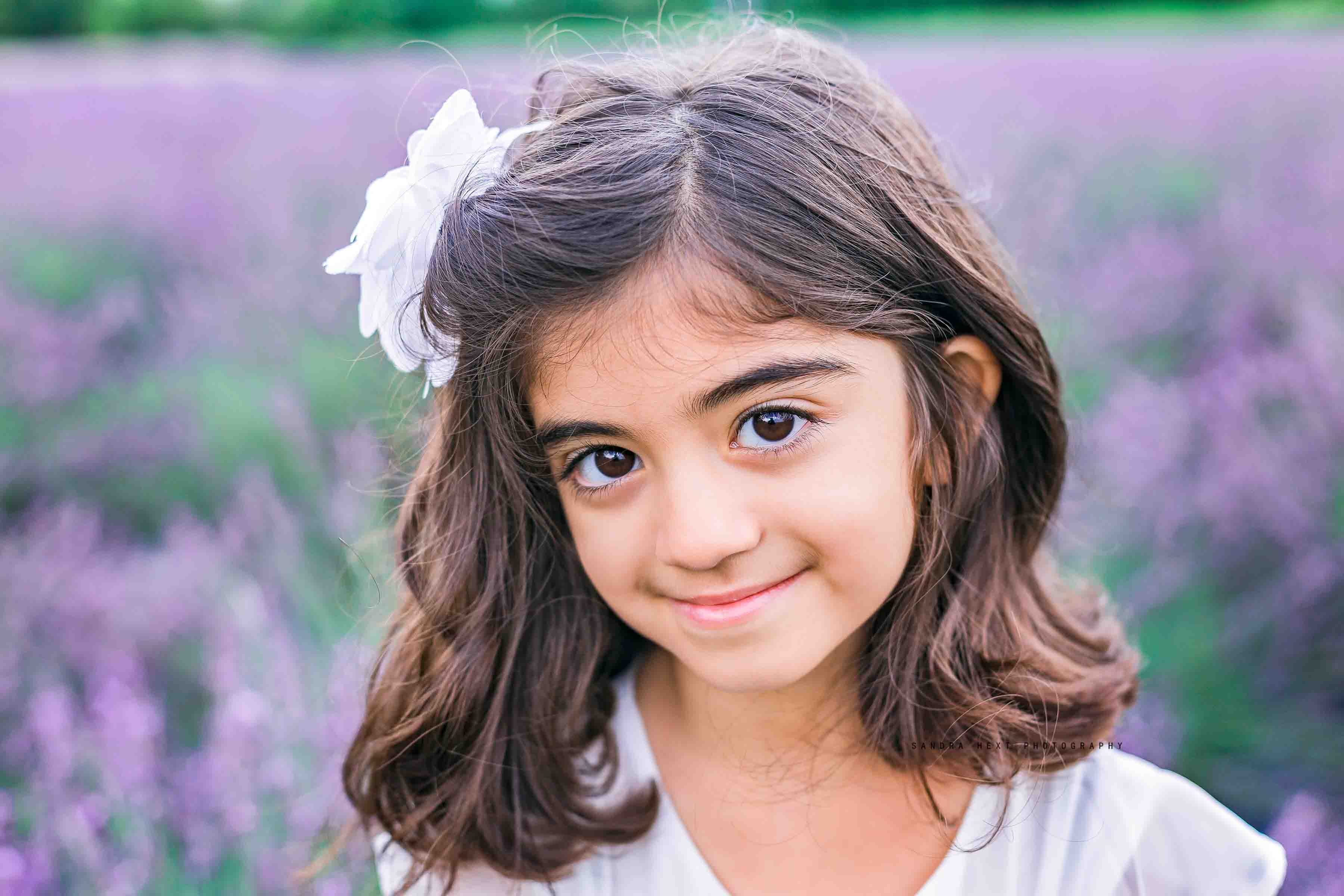 Lavender Field Sessions at Stonewell Lavender Farm |