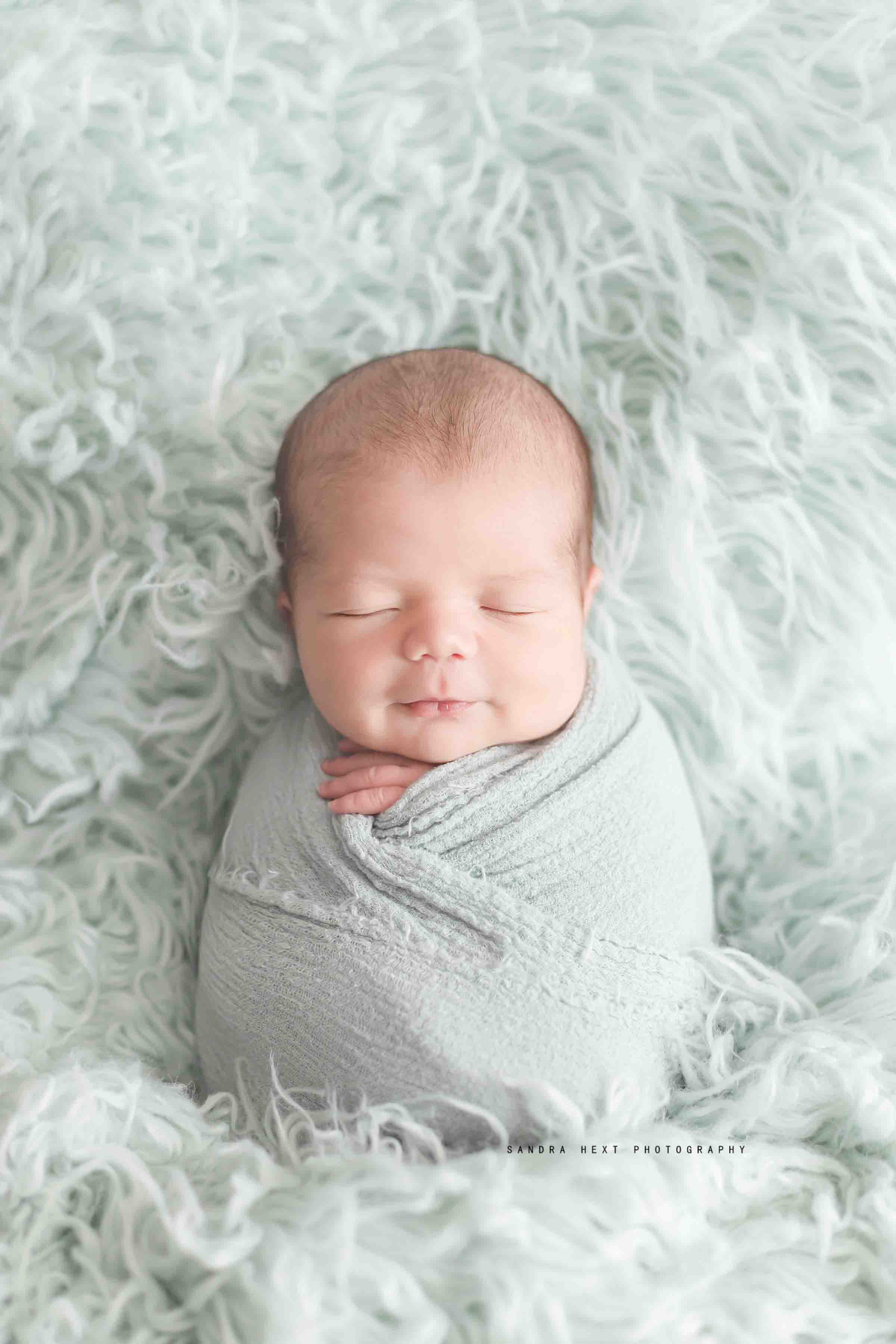 Sandra Hext Photography – Hamilton, Ontario