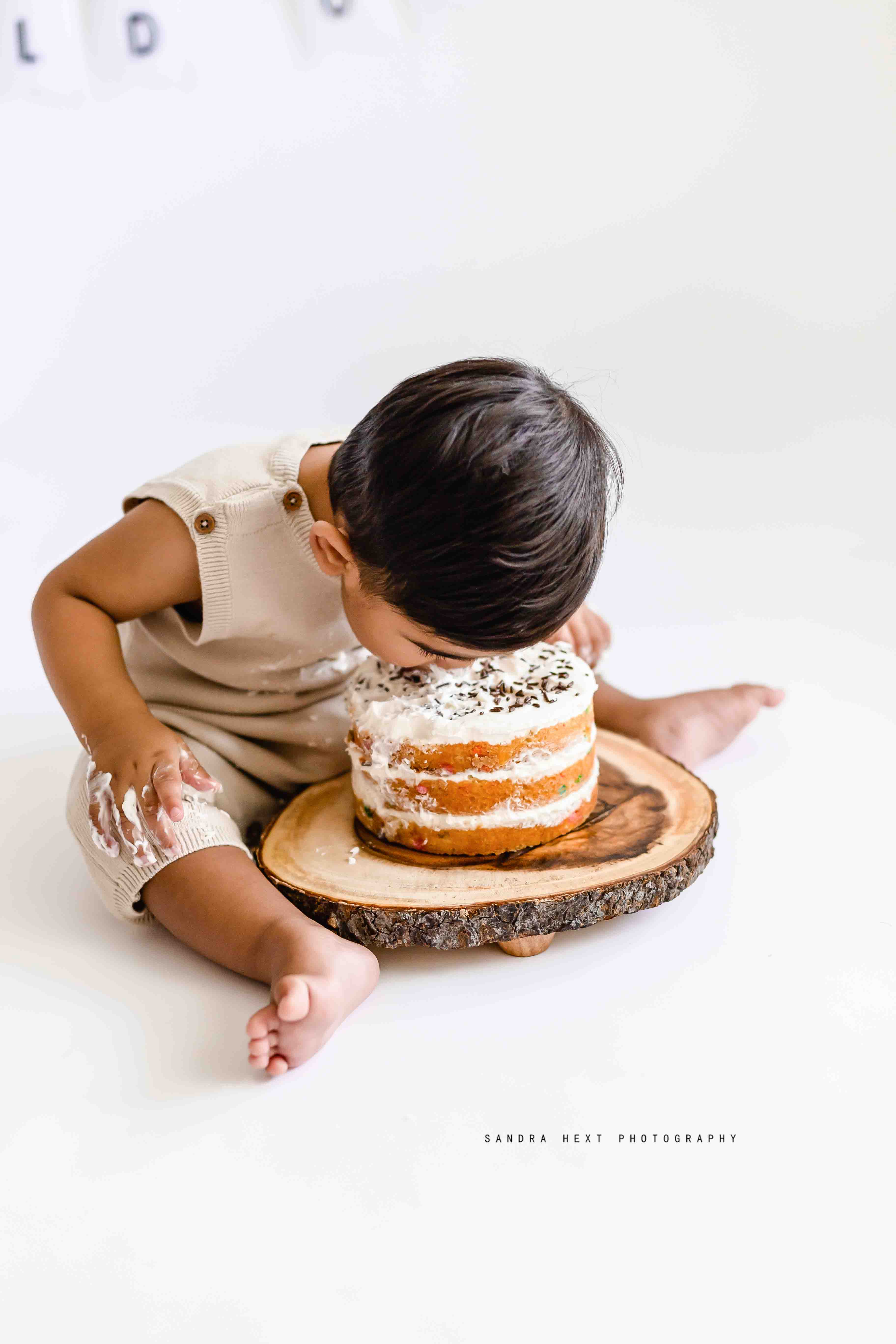 Cake smash photography Burlington Ontario