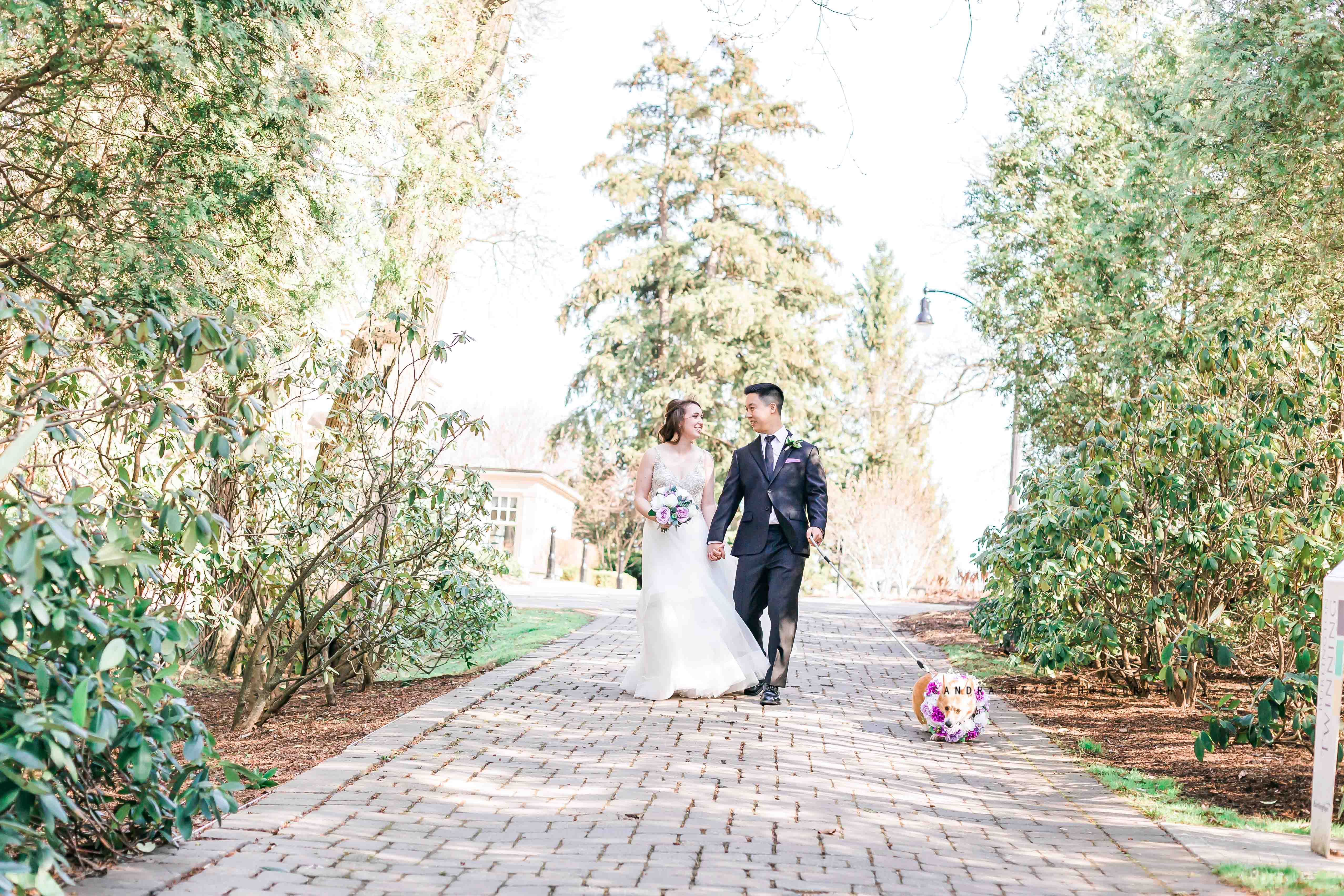 Paletta Mansion Wedding Photographer