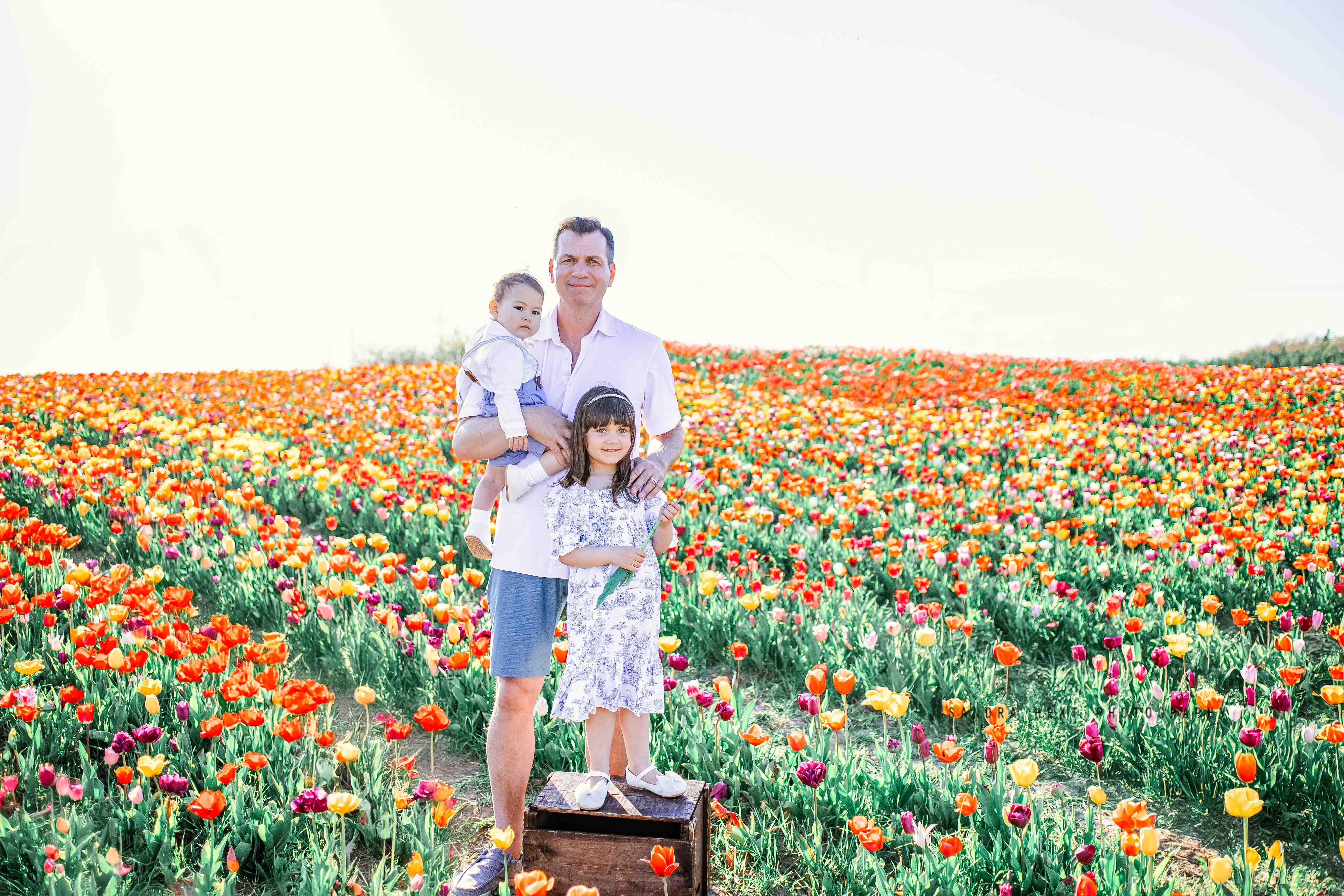 Sandra Hext Photography - Tulip Family Session 