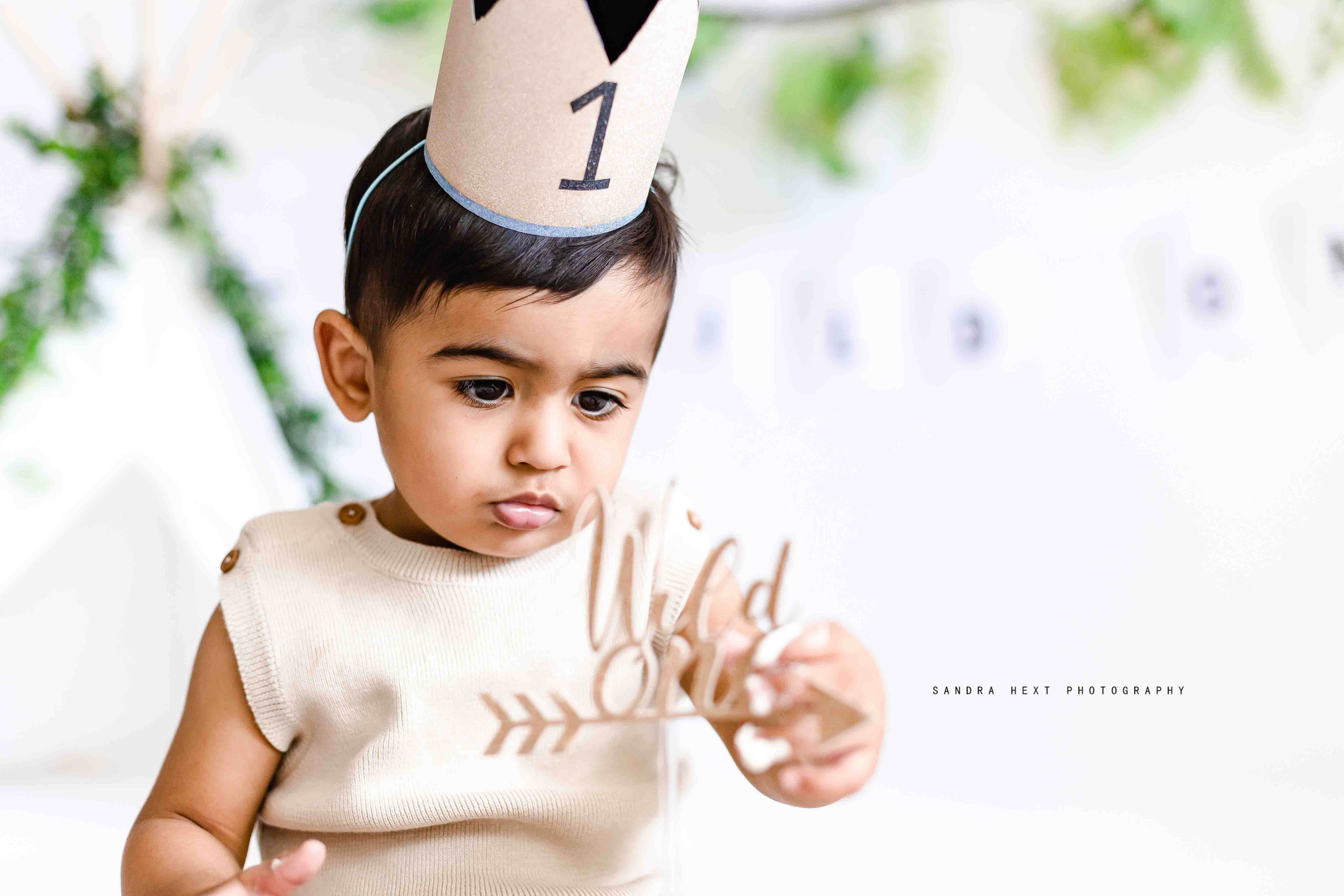 Wild One Cake Smash | A First Birthday Adventure! 🌿👑