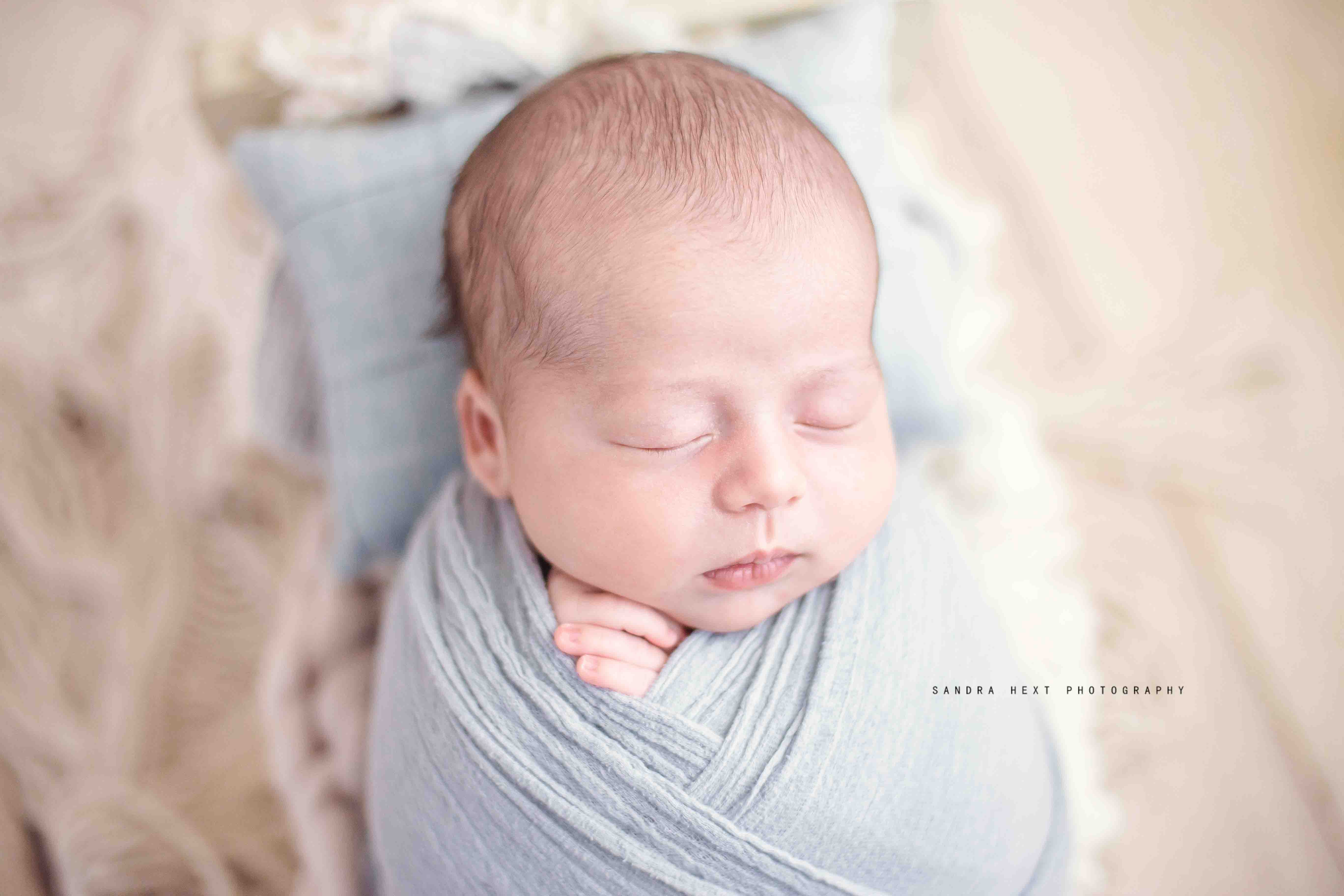 Sandra Hext Photography – Hamilton, Ontario