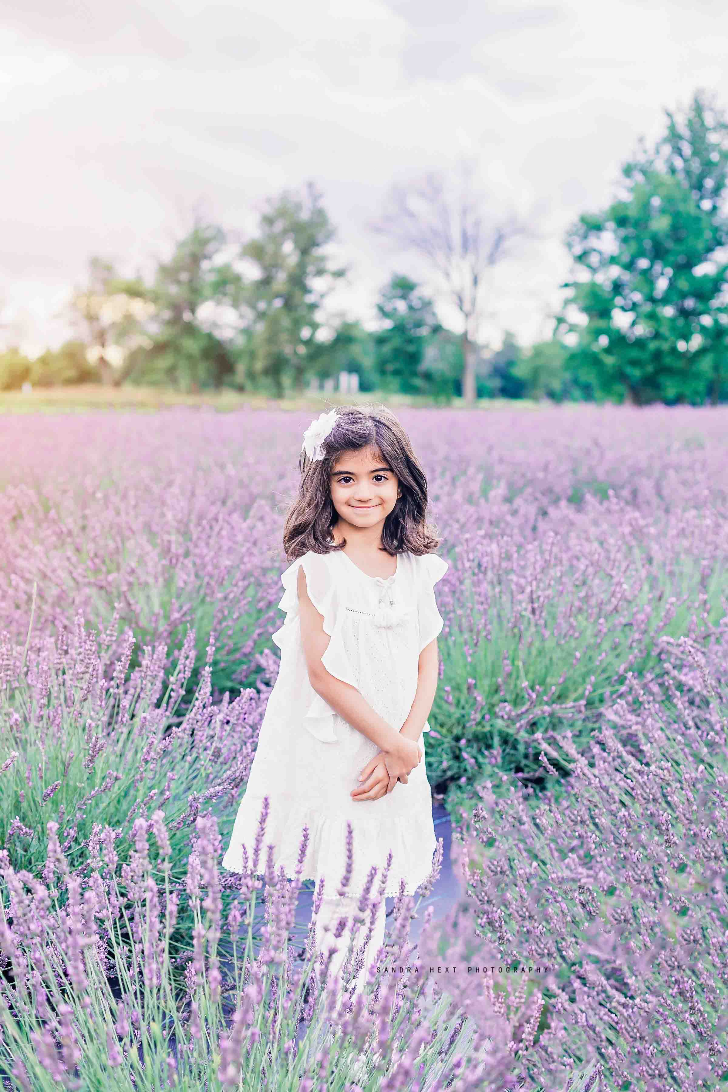 Lavender field family photography Erin Ontario