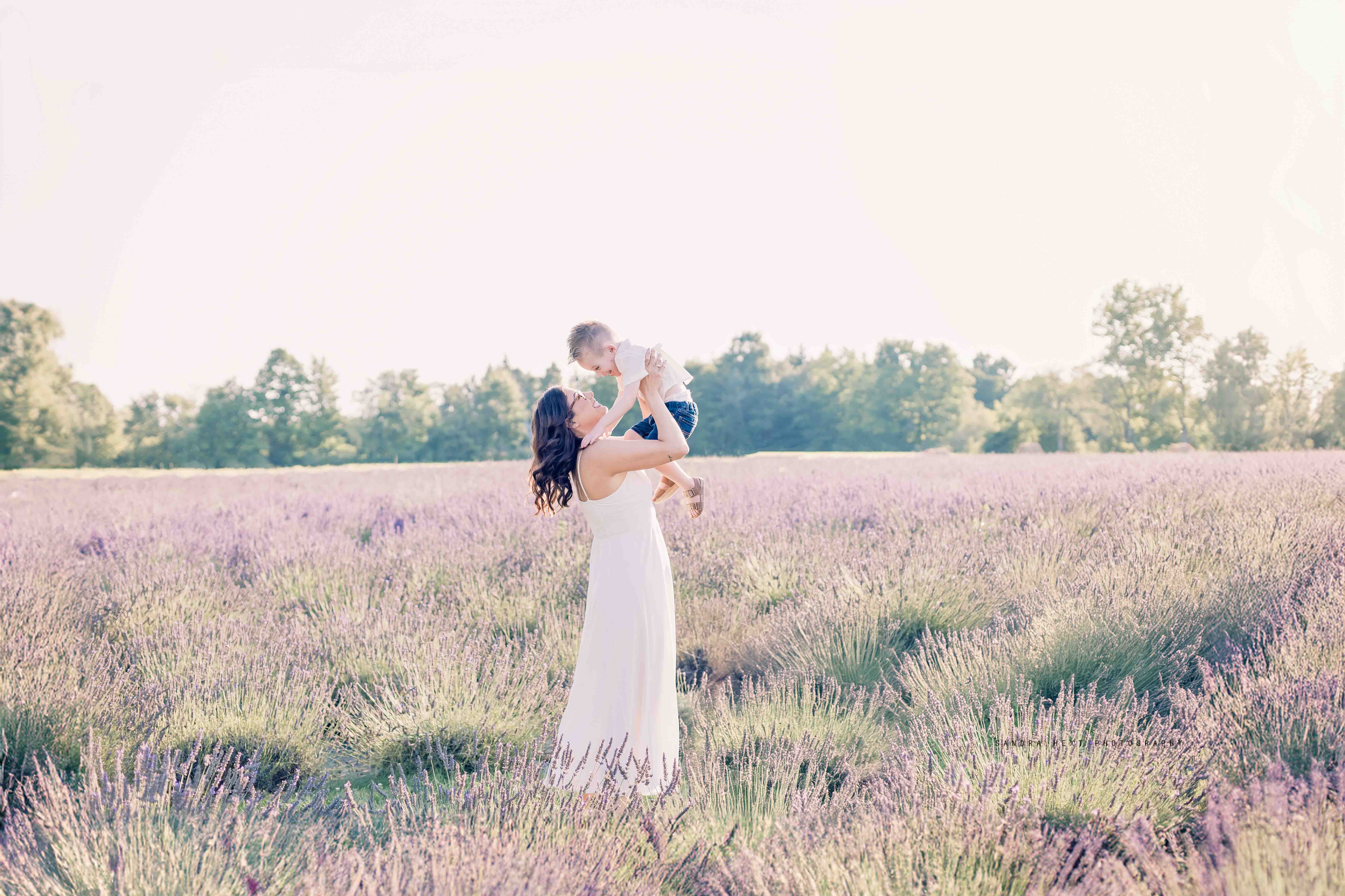 Lavender Field Sessions at Stonewell Lavender Farm |