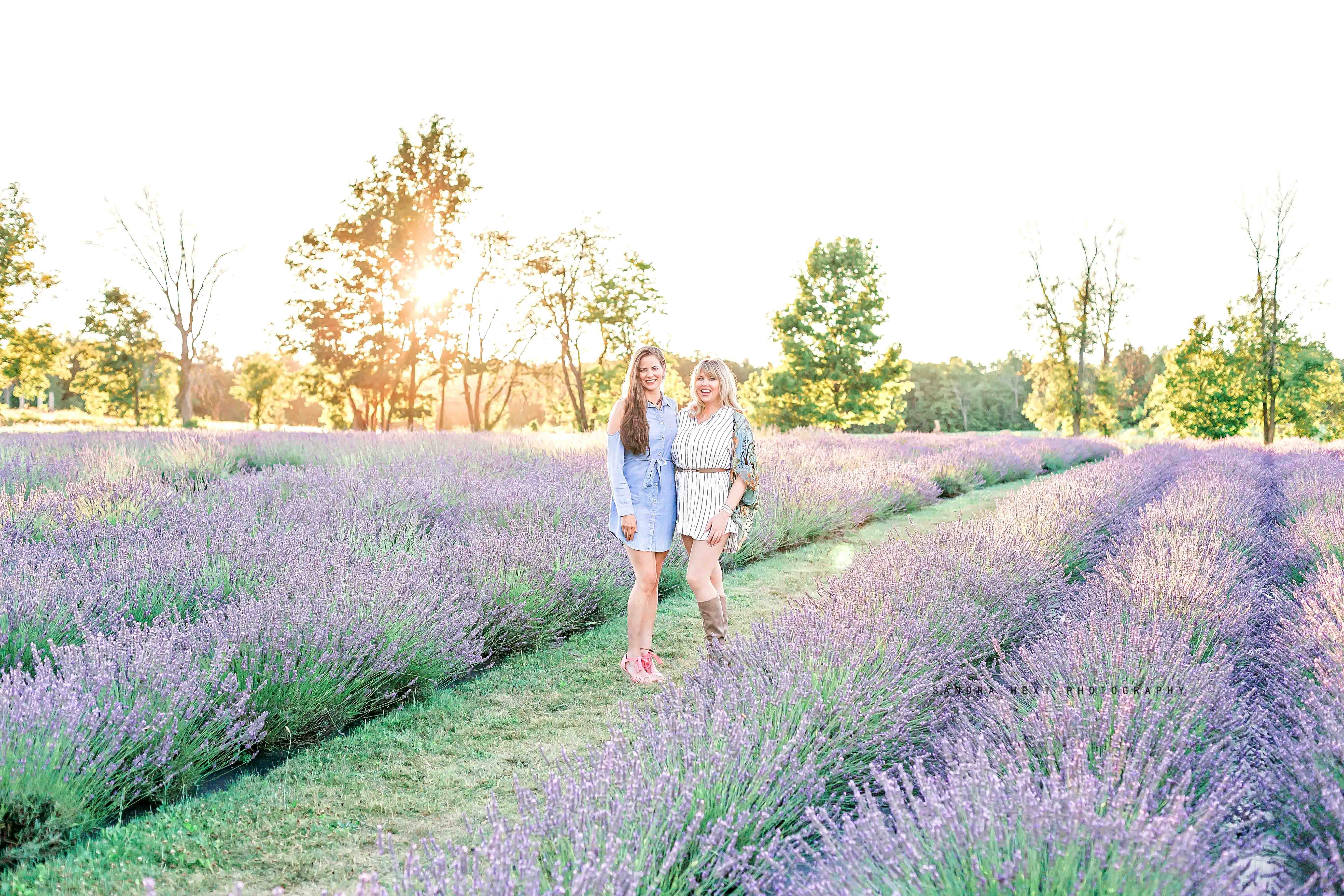 Lavender Field Sessions at Stonewell Lavender Farm |