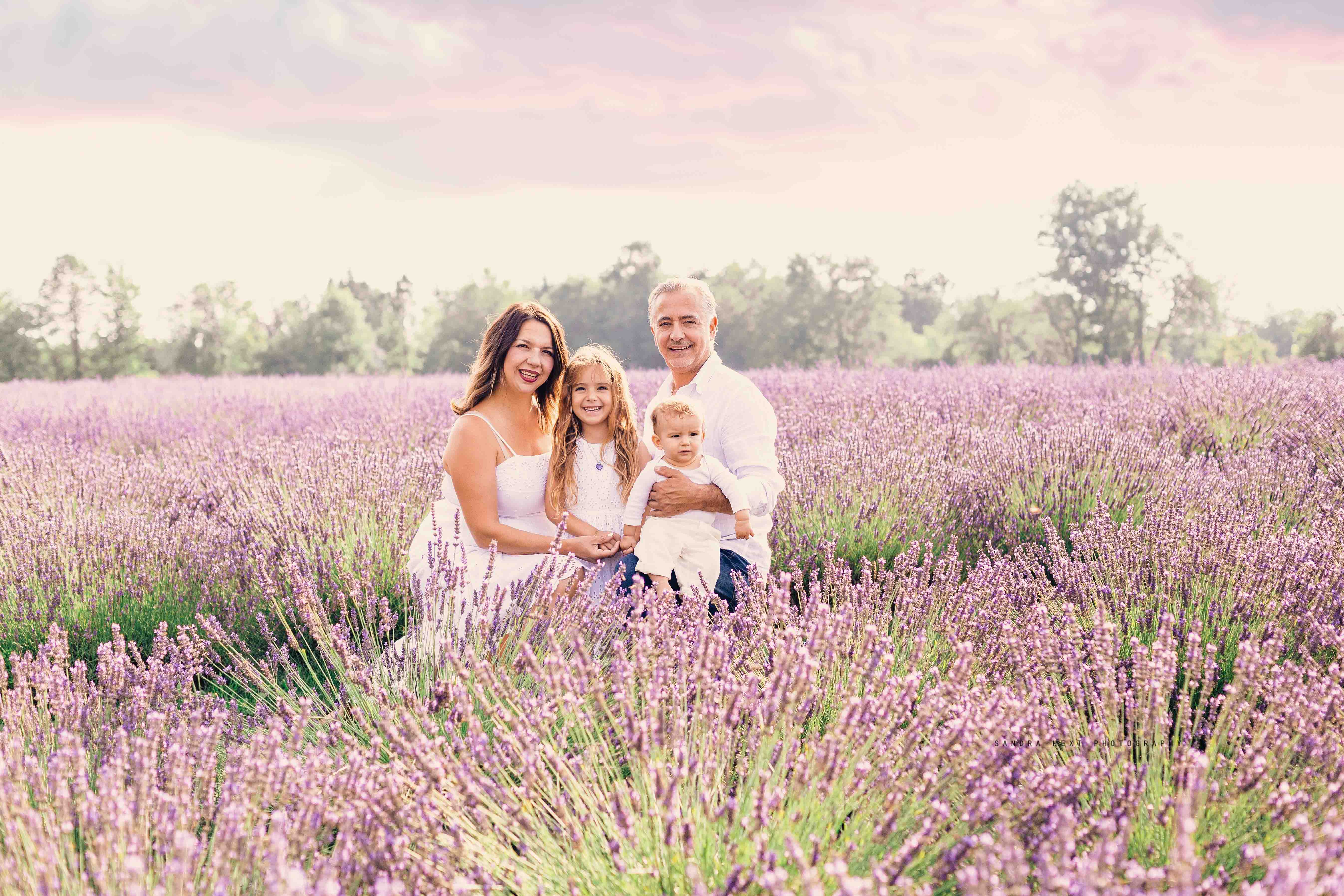 Lavender Field Sessions at Stonewell Lavender Farm |