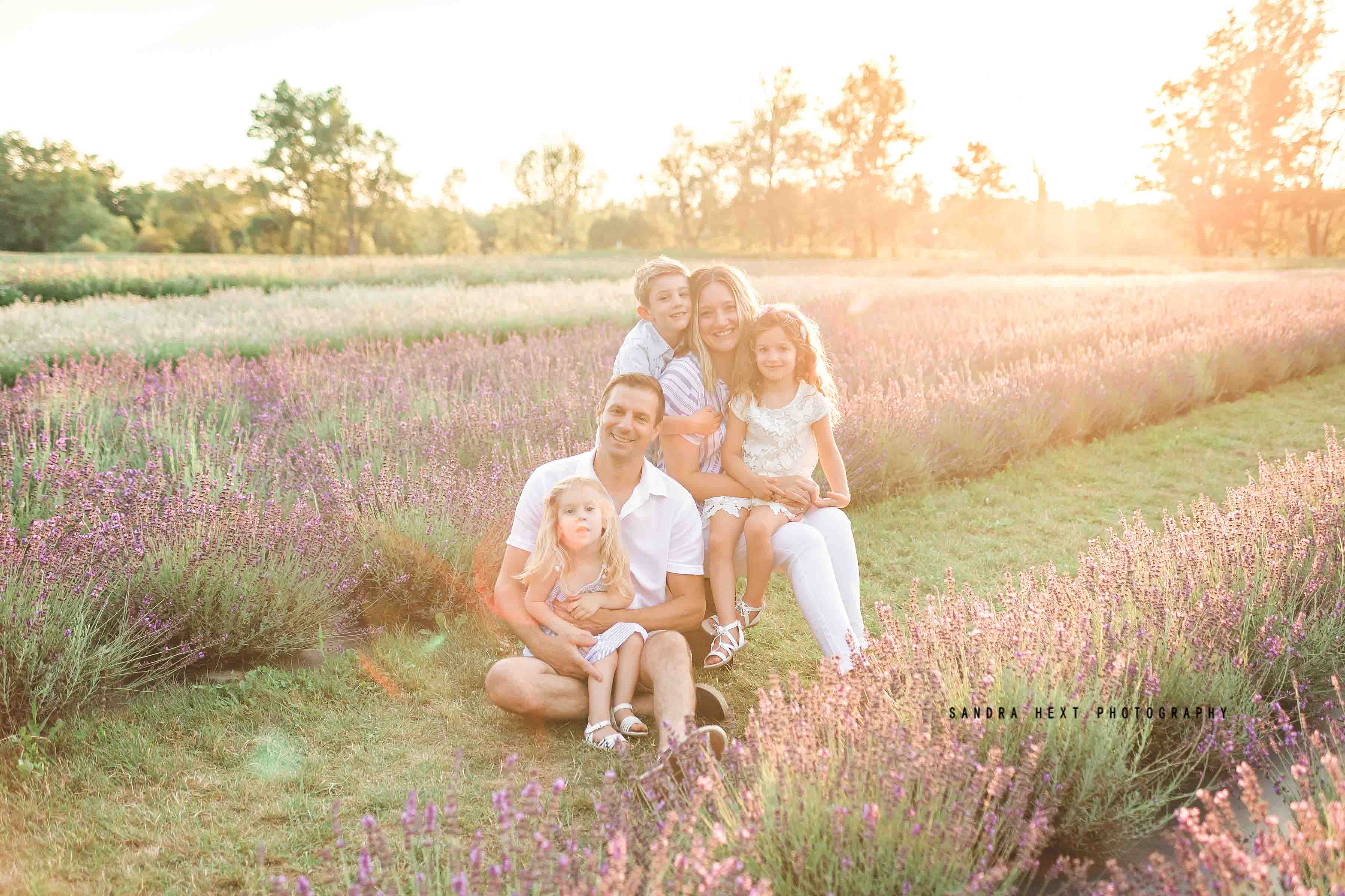 Lavender Field Sessions at Stonewell Lavender Farm |