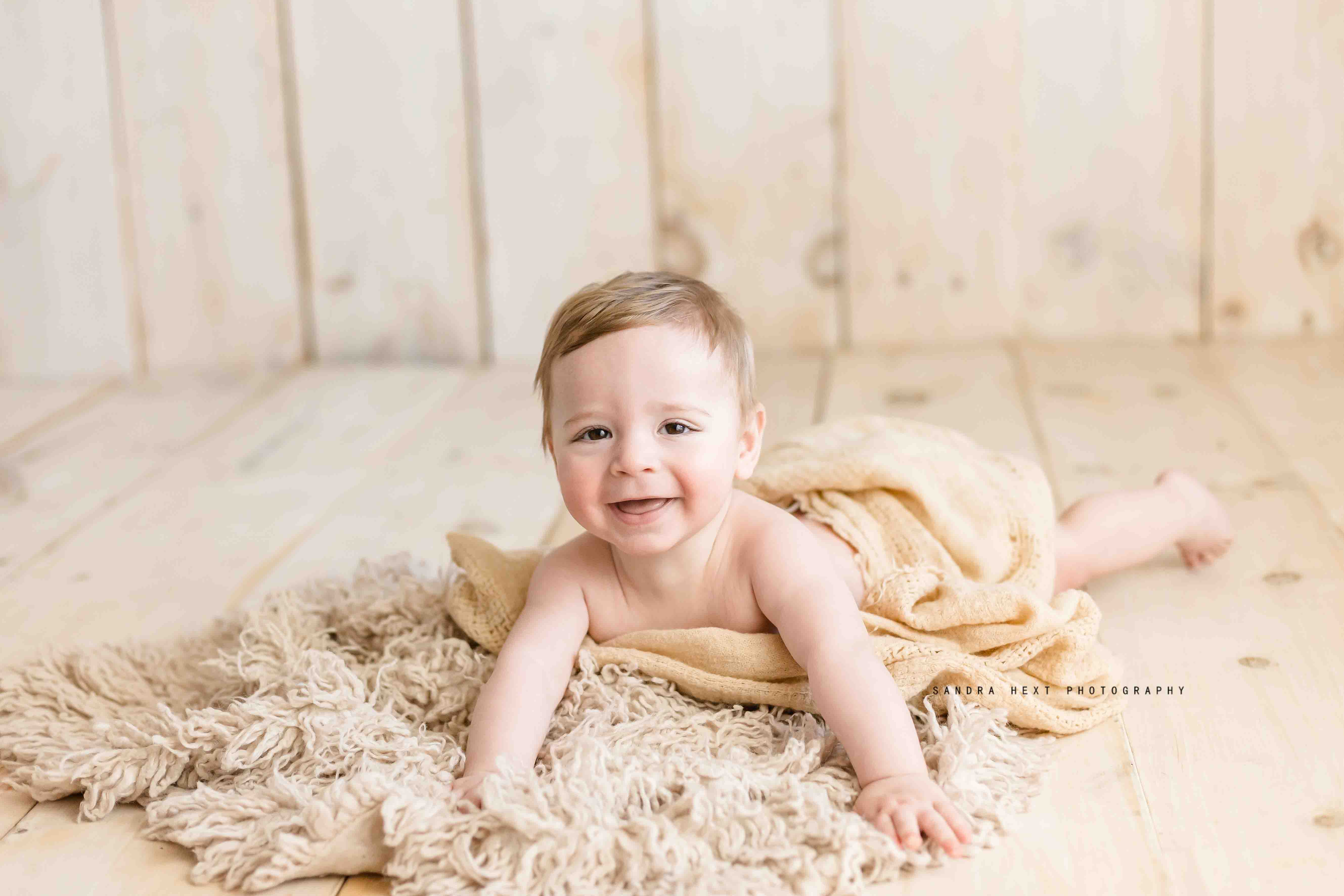 sitter photo session hamilton ontario