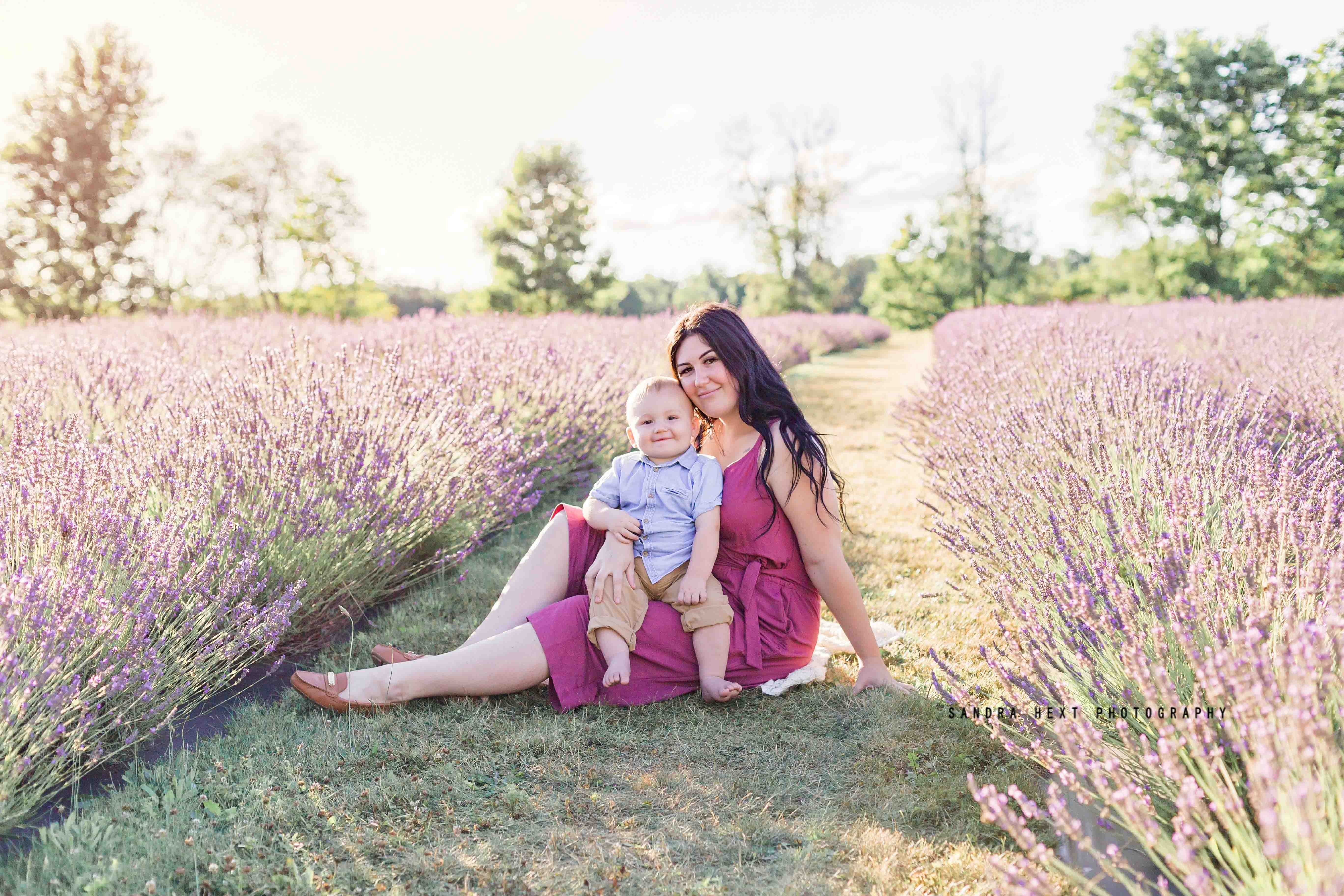 Sandra Hext Photography Lavender Session-