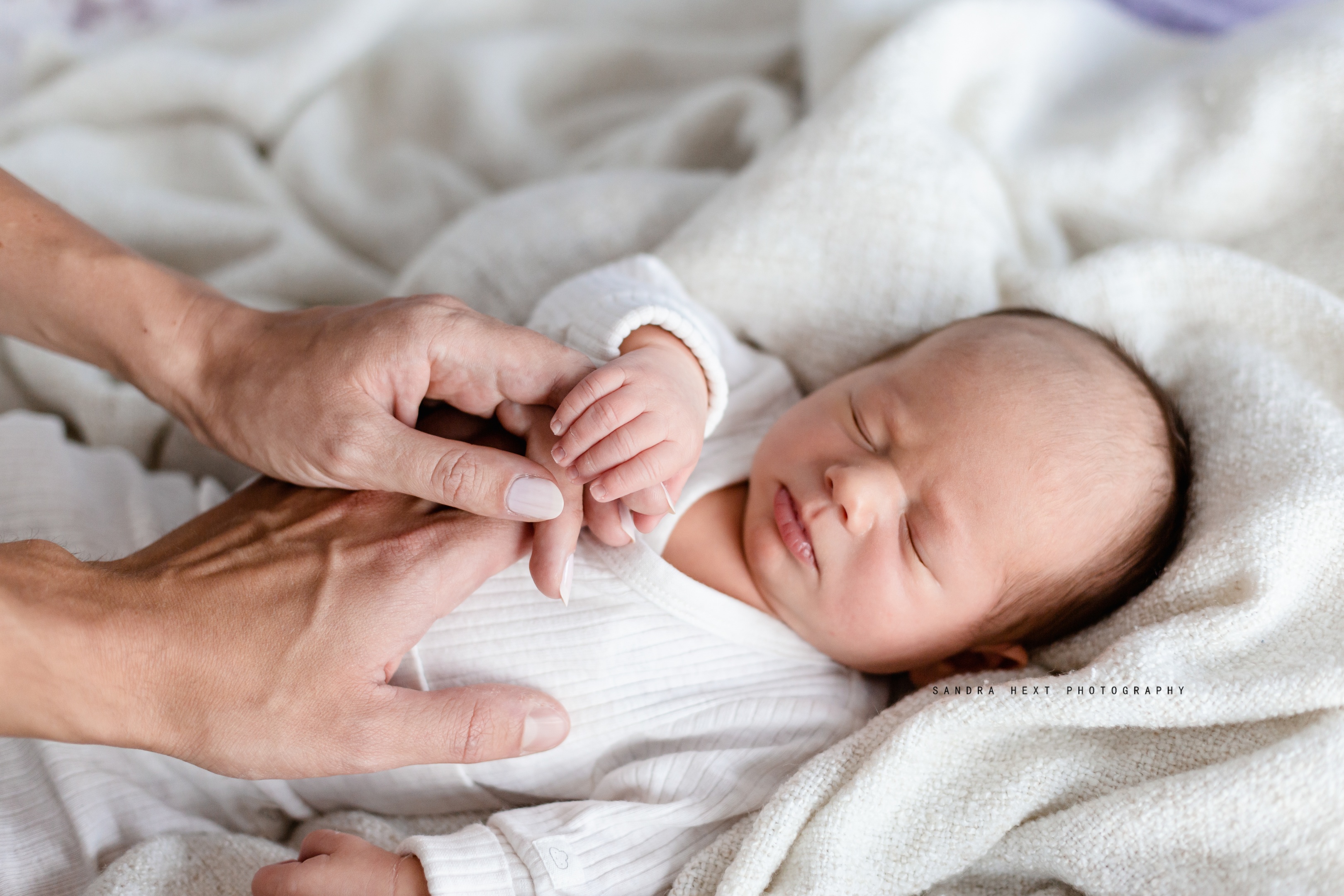 Hamilton sunset Photography