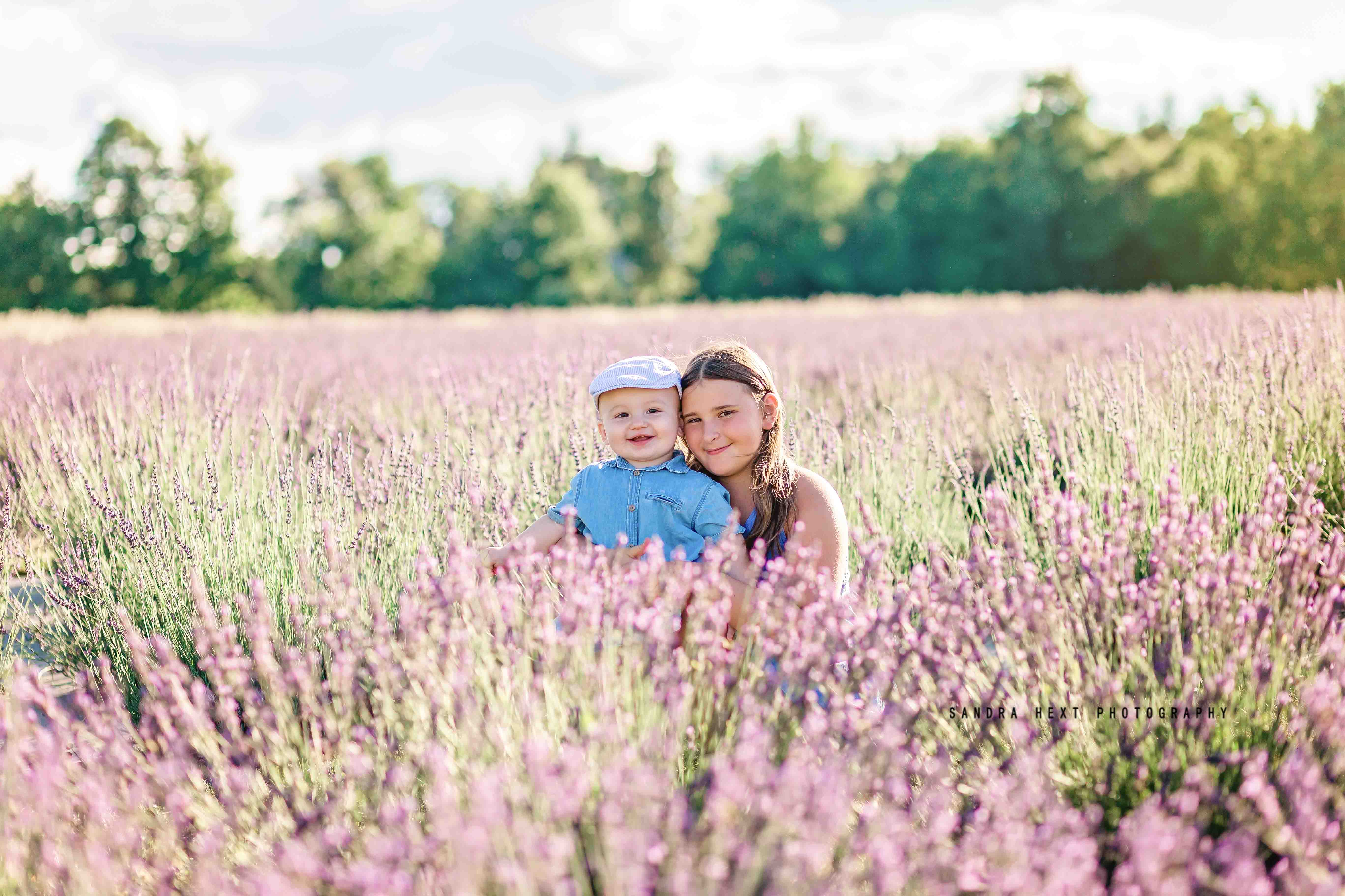 Lavender farm photo shoots Erin