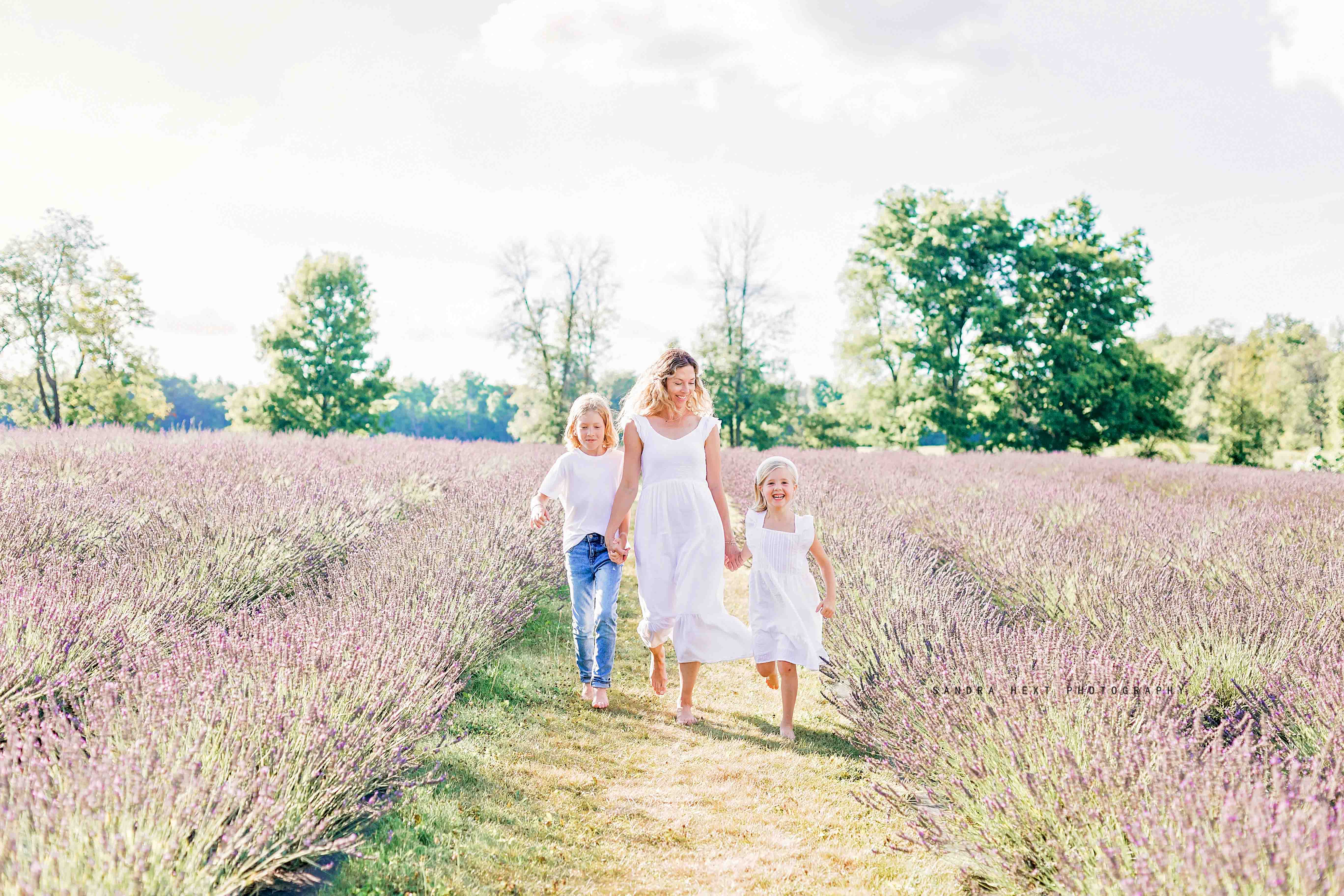 Lavender Field Sessions at Stonewell Lavender Farm |