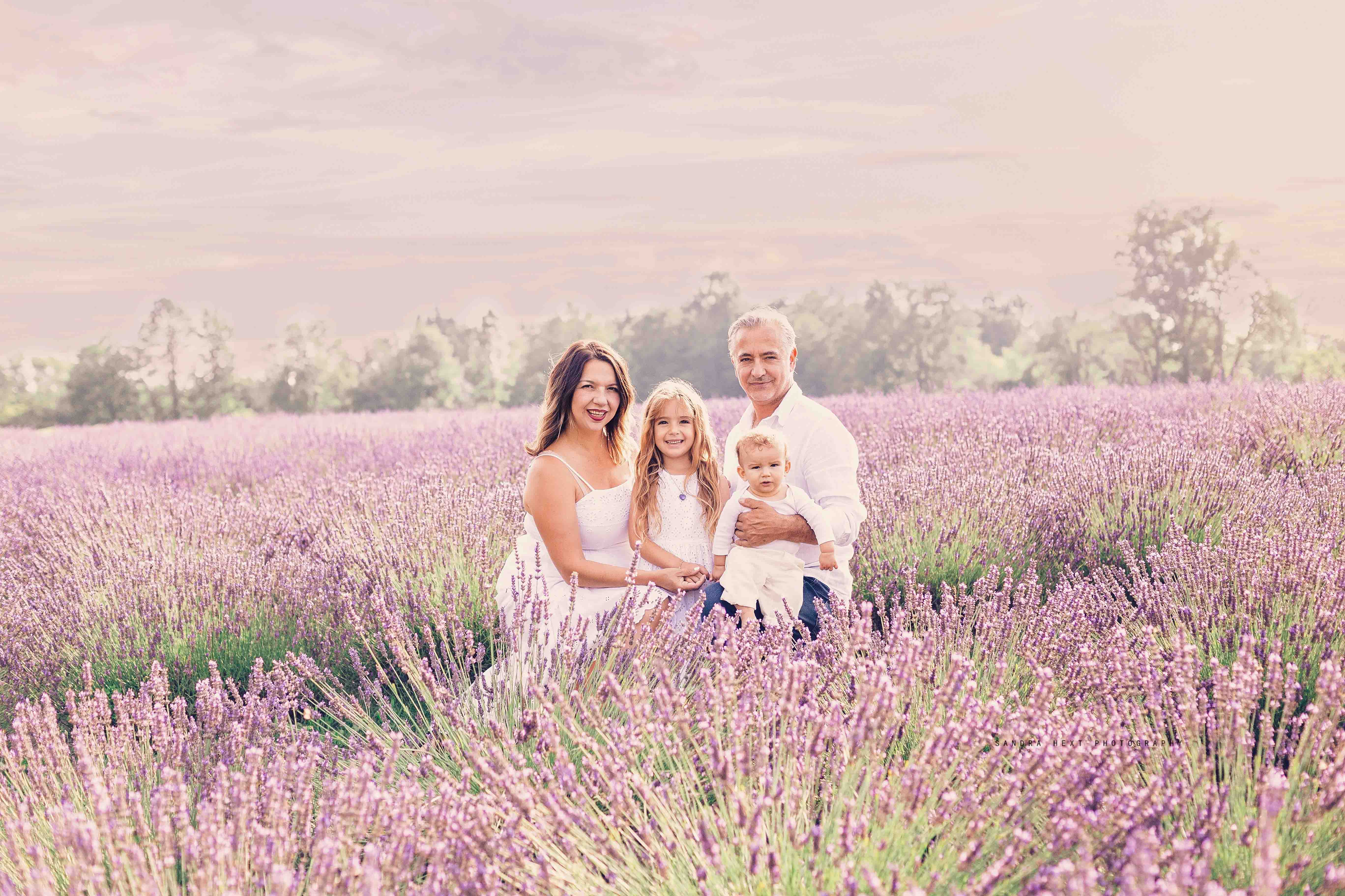 Lavender field family portraits Erin Ontario