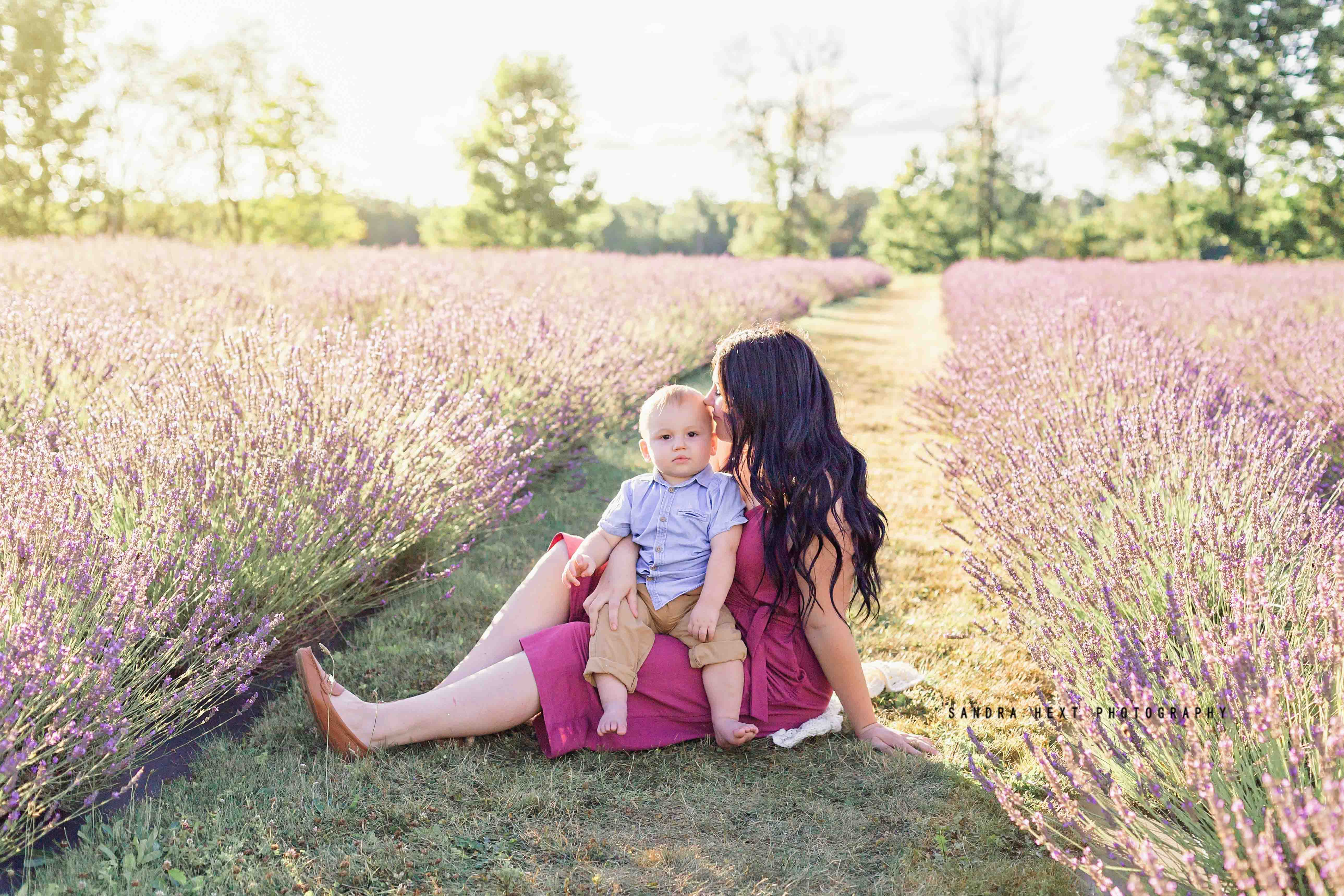 Lavender family photo session Hamilton 