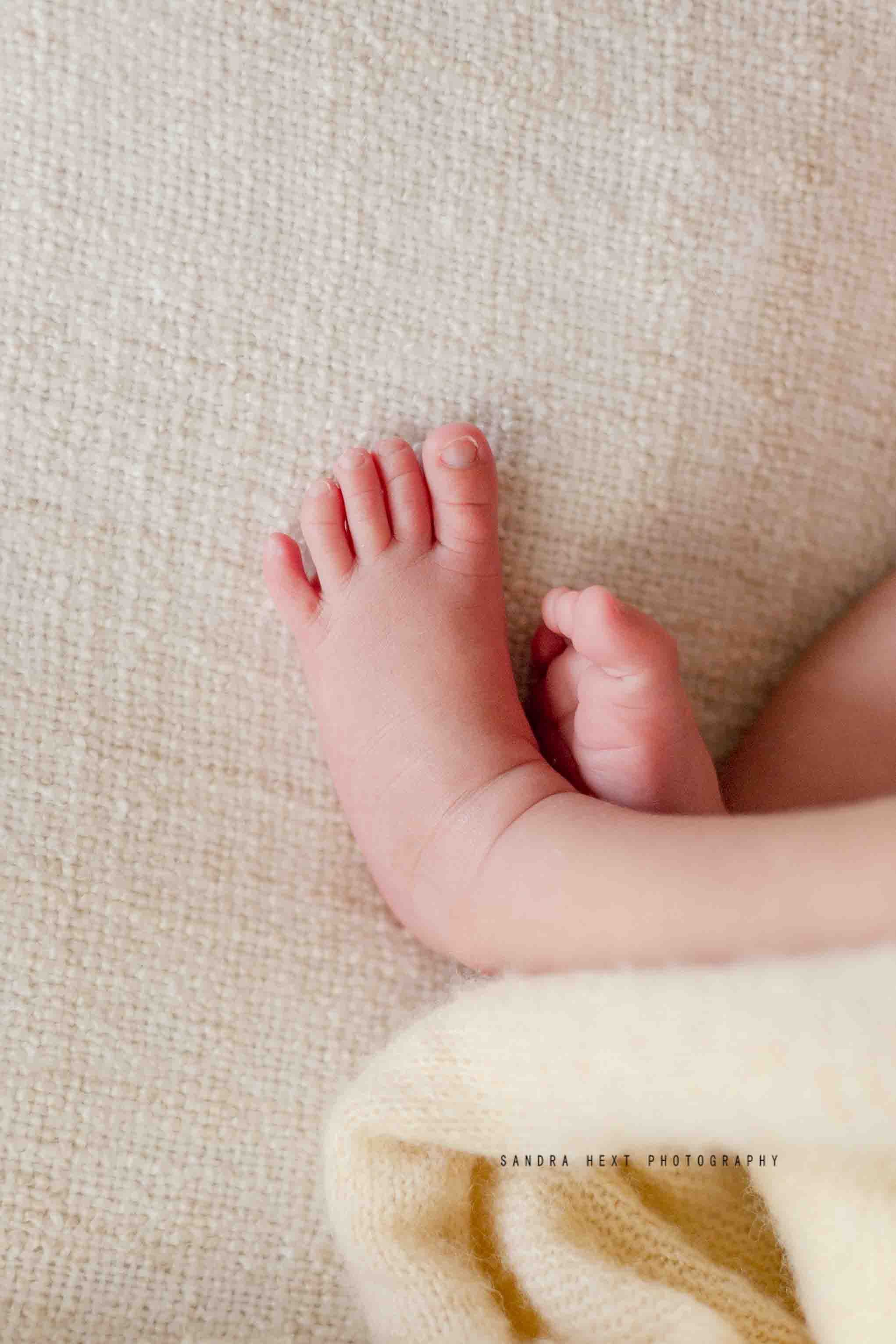 Newborn baby photos Hamilton Burlington