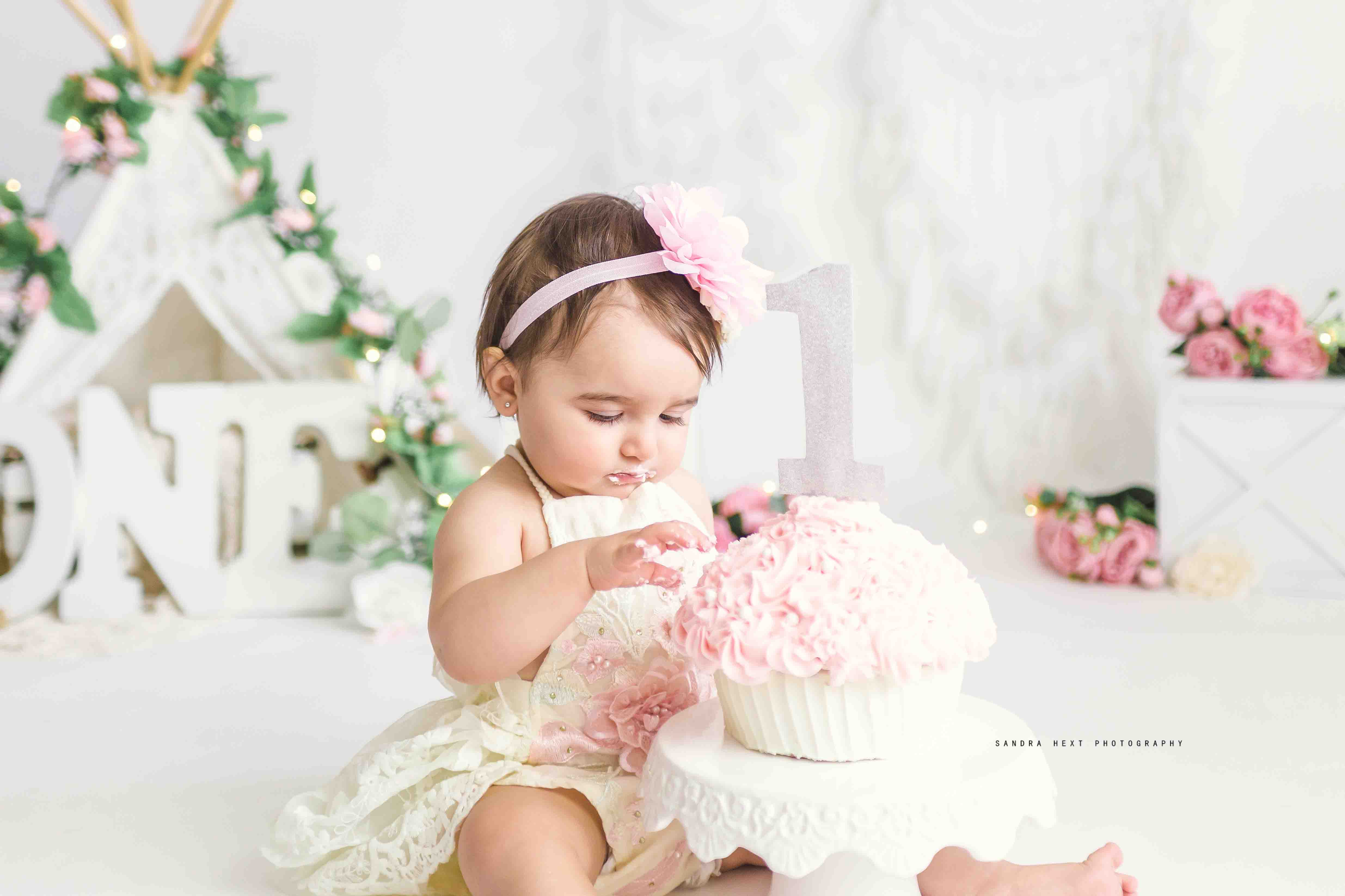 Hamilton Cake Smash Photographer | Baby Photography Studio Sessions