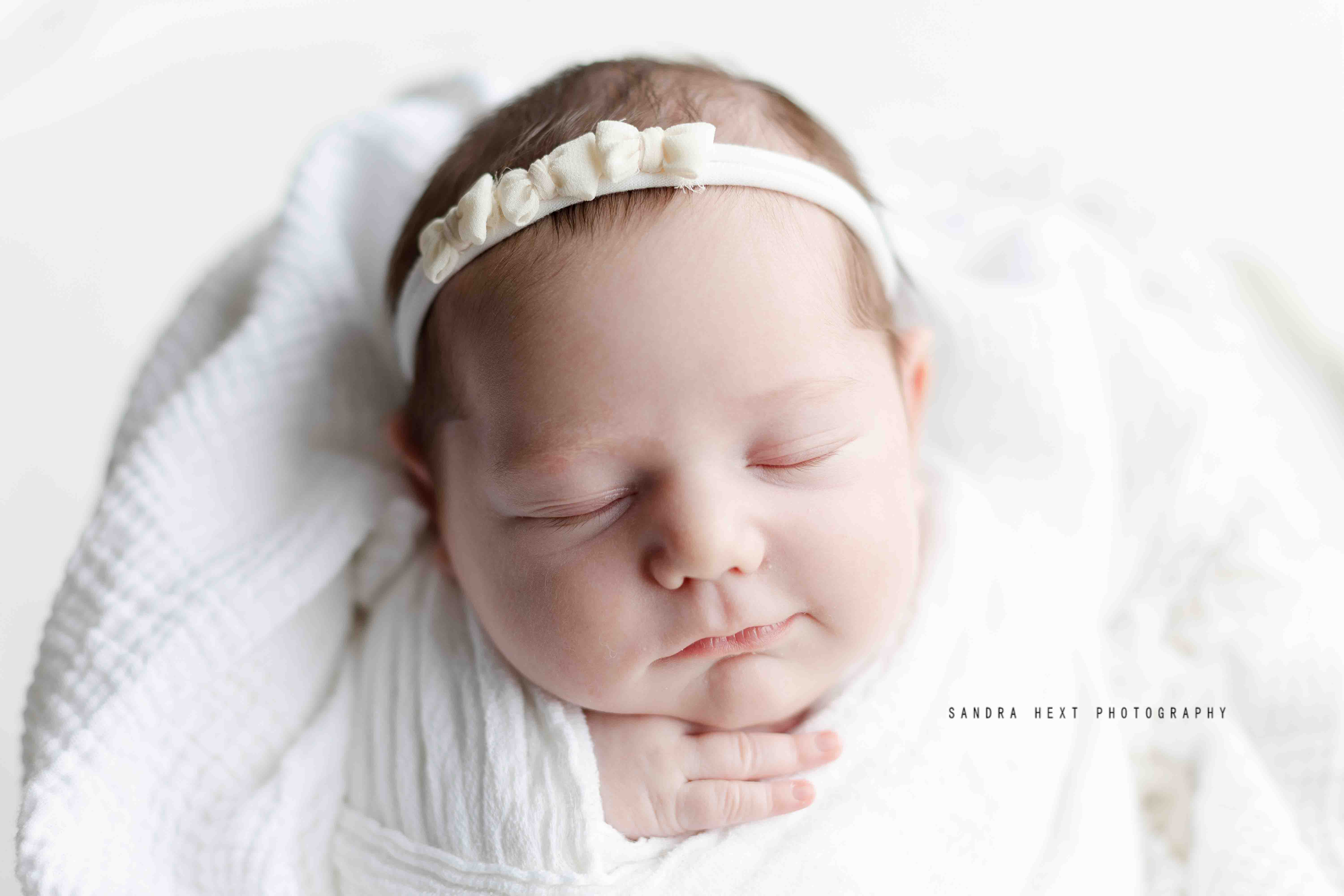 Sandra Hext Photography – Hamilton, Ontario