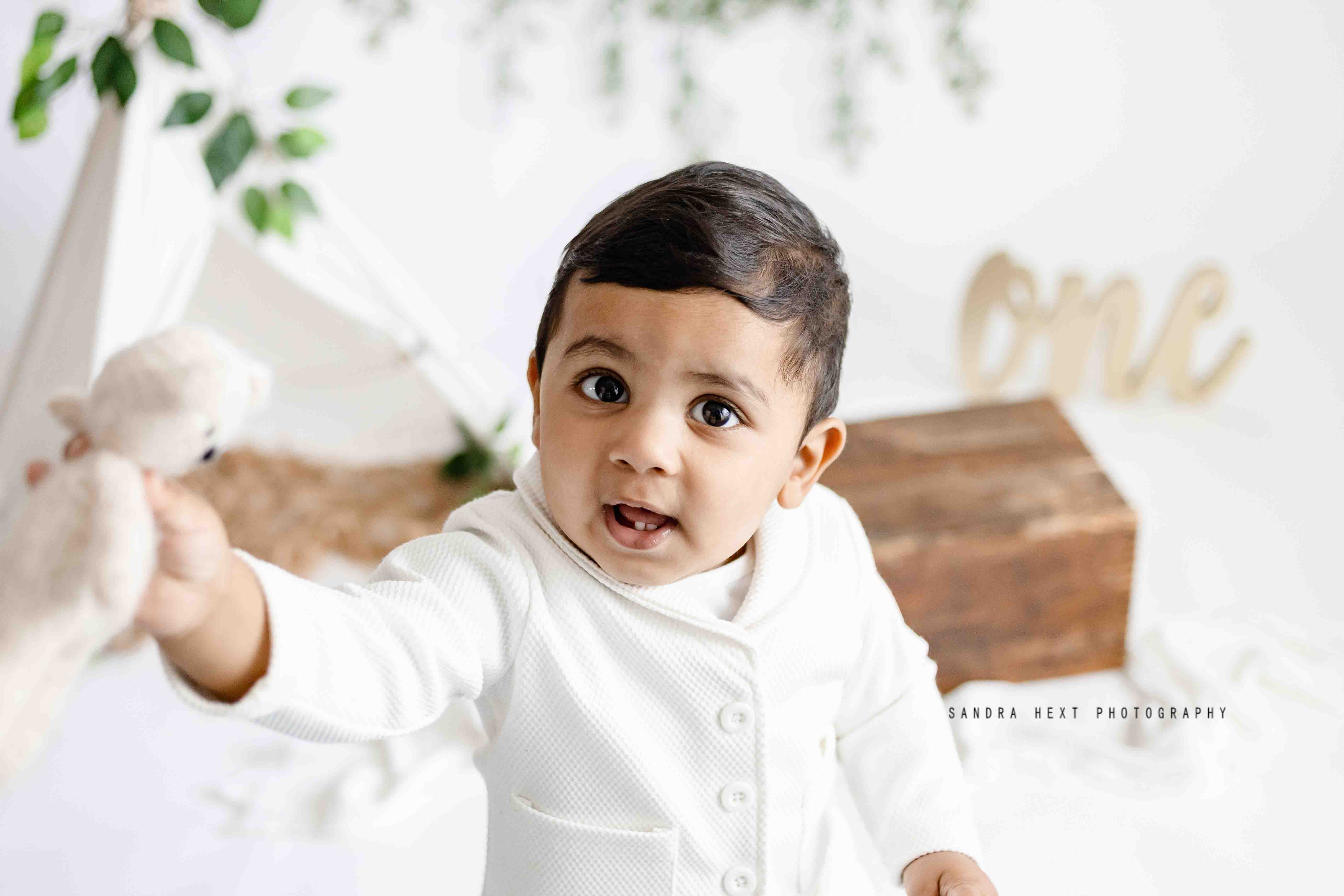 Cake smash photography Hamilton