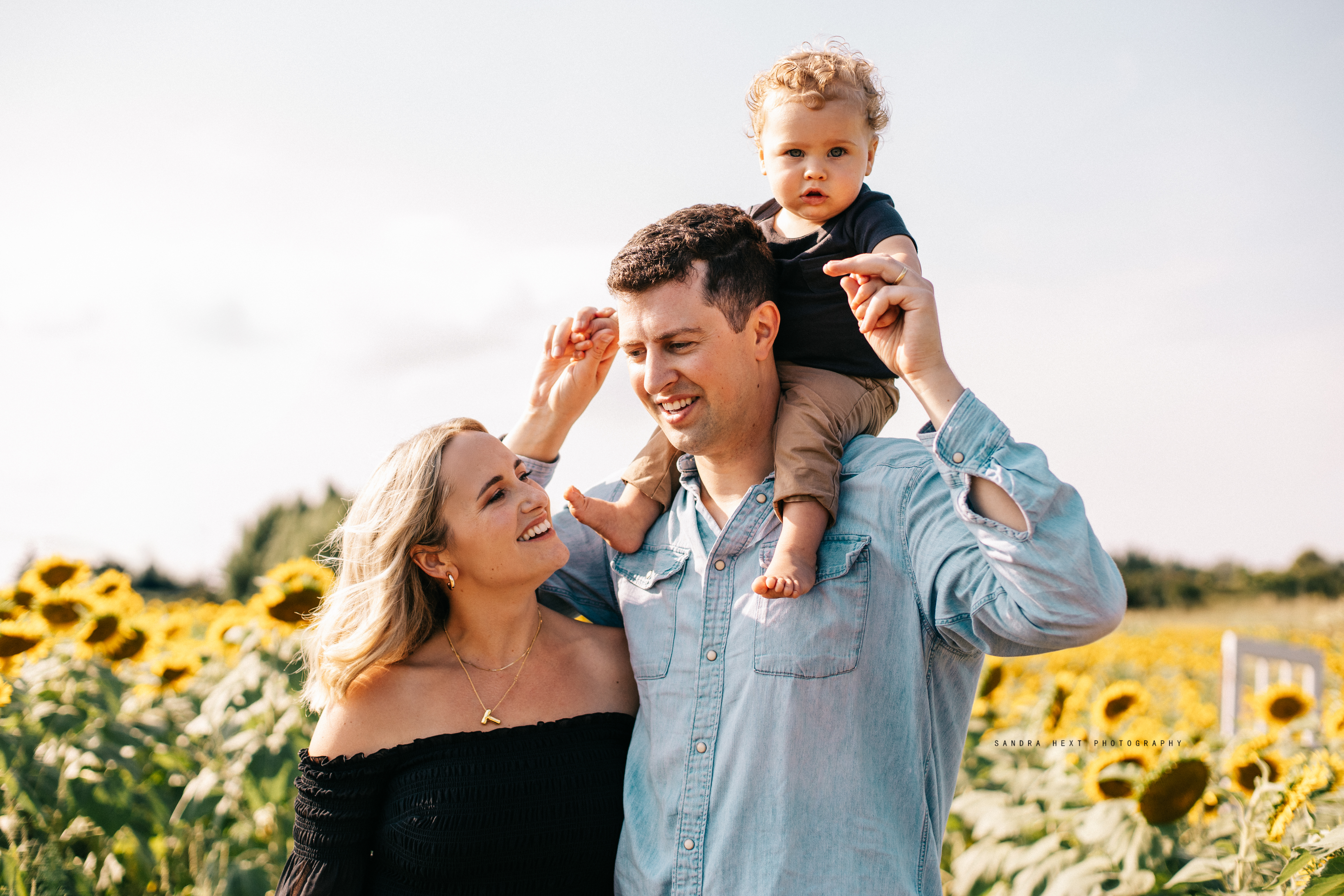 Family sunflower photo session at The Apple Orchard Inc., captured by Sandra Hext Photography. Ideal for vibrant, nature-filled family portraits.