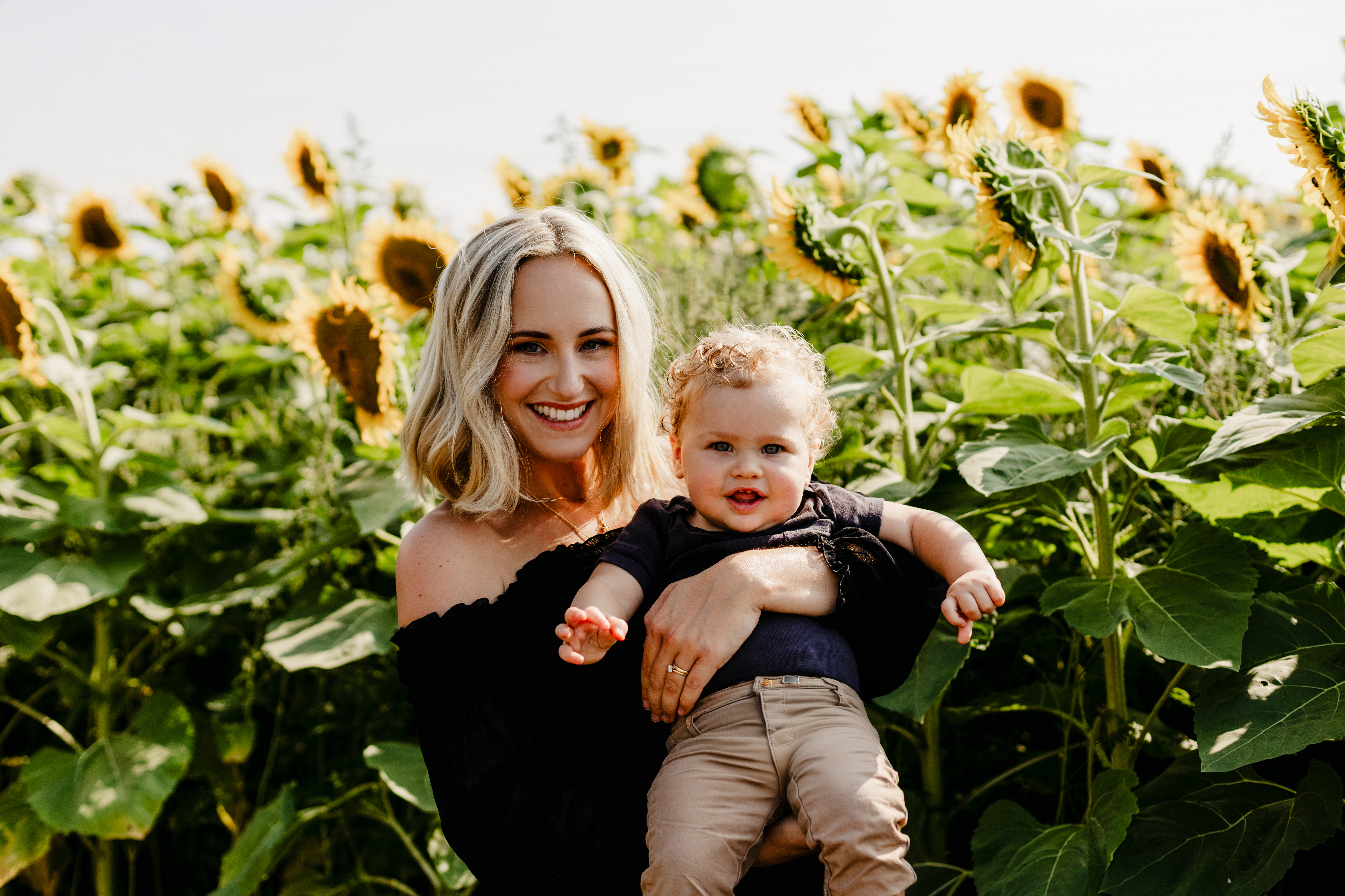 Family sunflower photo session at The Apple Orchard Inc., captured by Sandra Hext Photography. Ideal for vibrant, nature-filled family portraits.