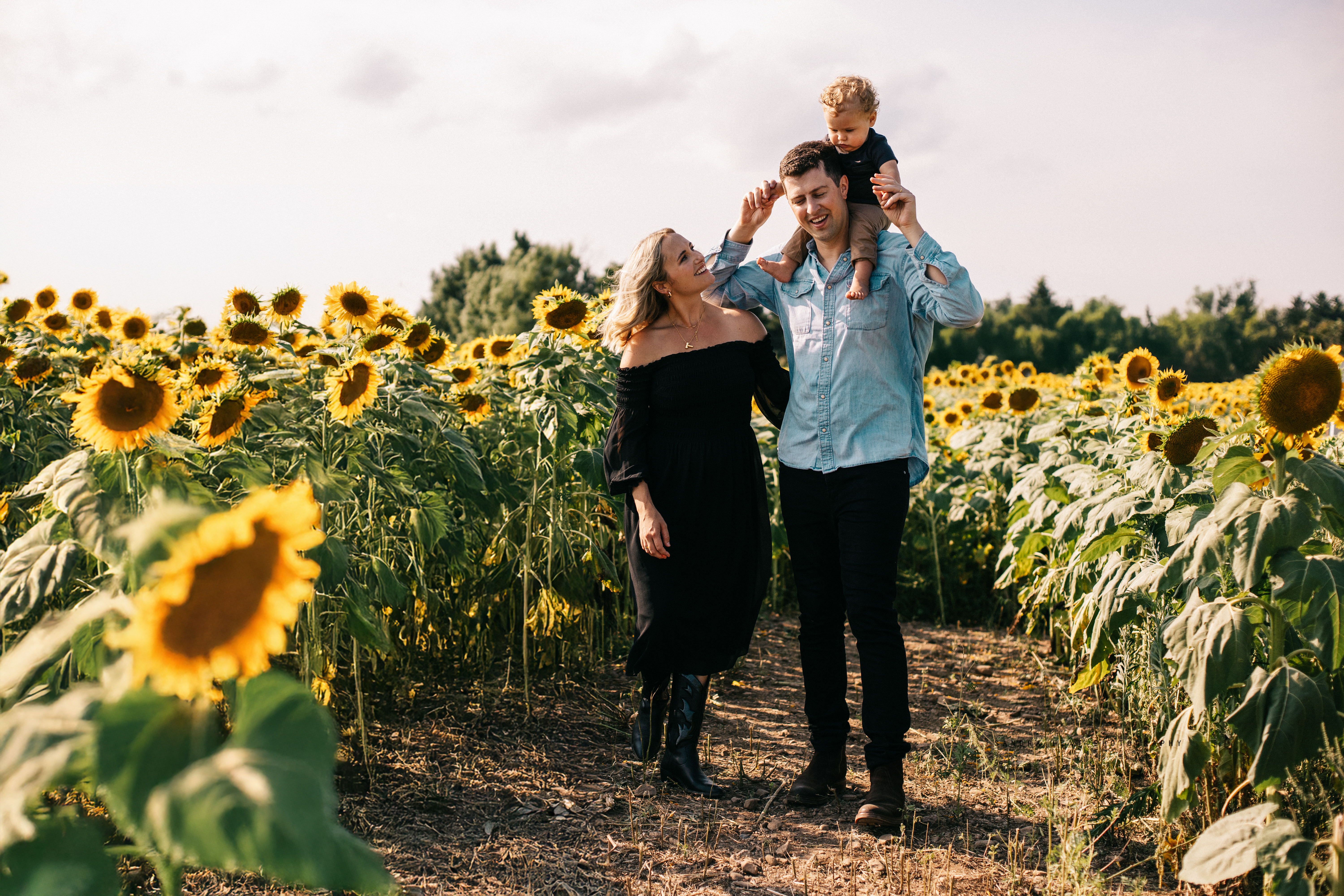 Family sunflower photo session at The Apple Orchard Inc., captured by Sandra Hext Photography. Ideal for vibrant, nature-filled family portraits.