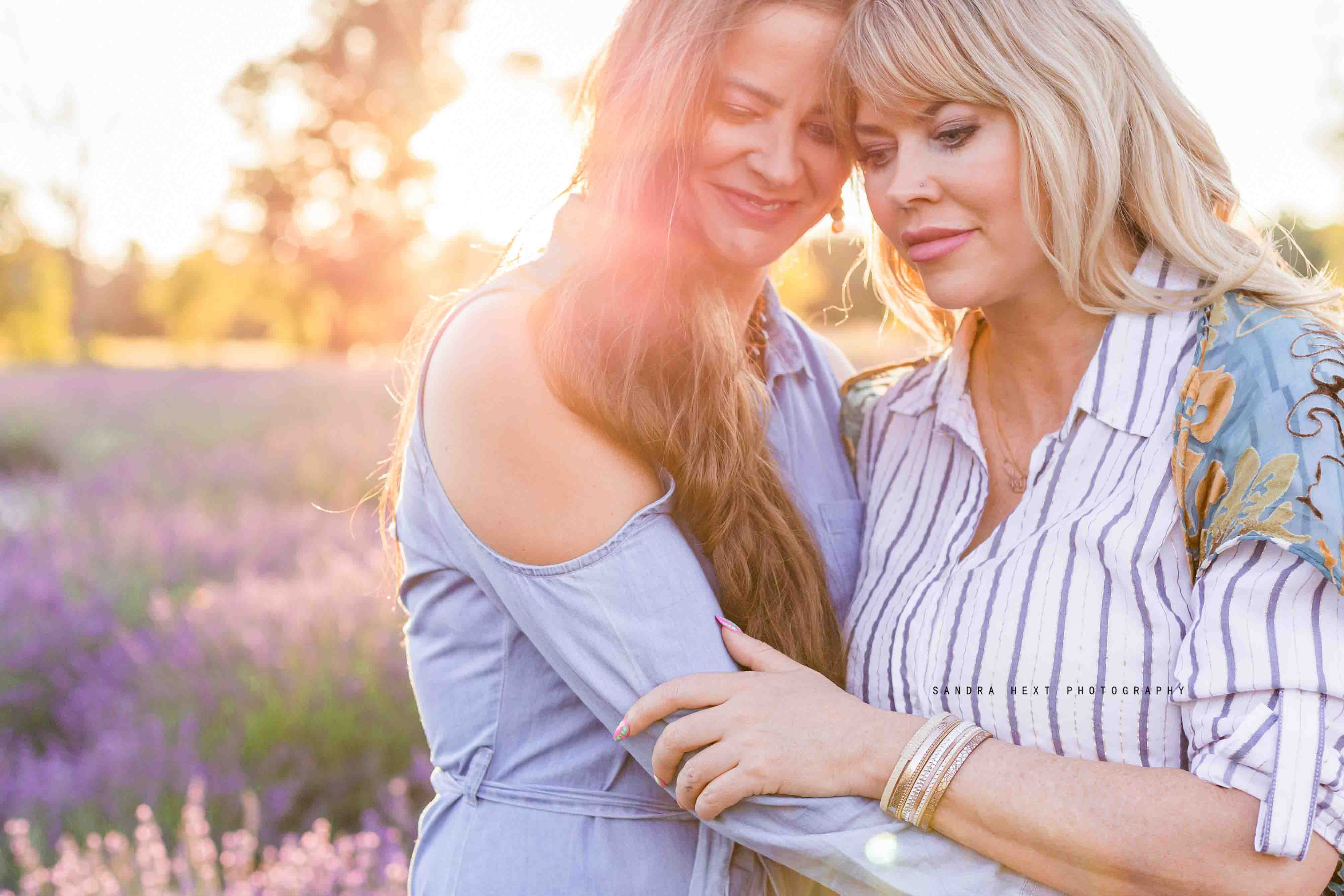 Lavender Field Sessions at Stonewell Lavender Farm |