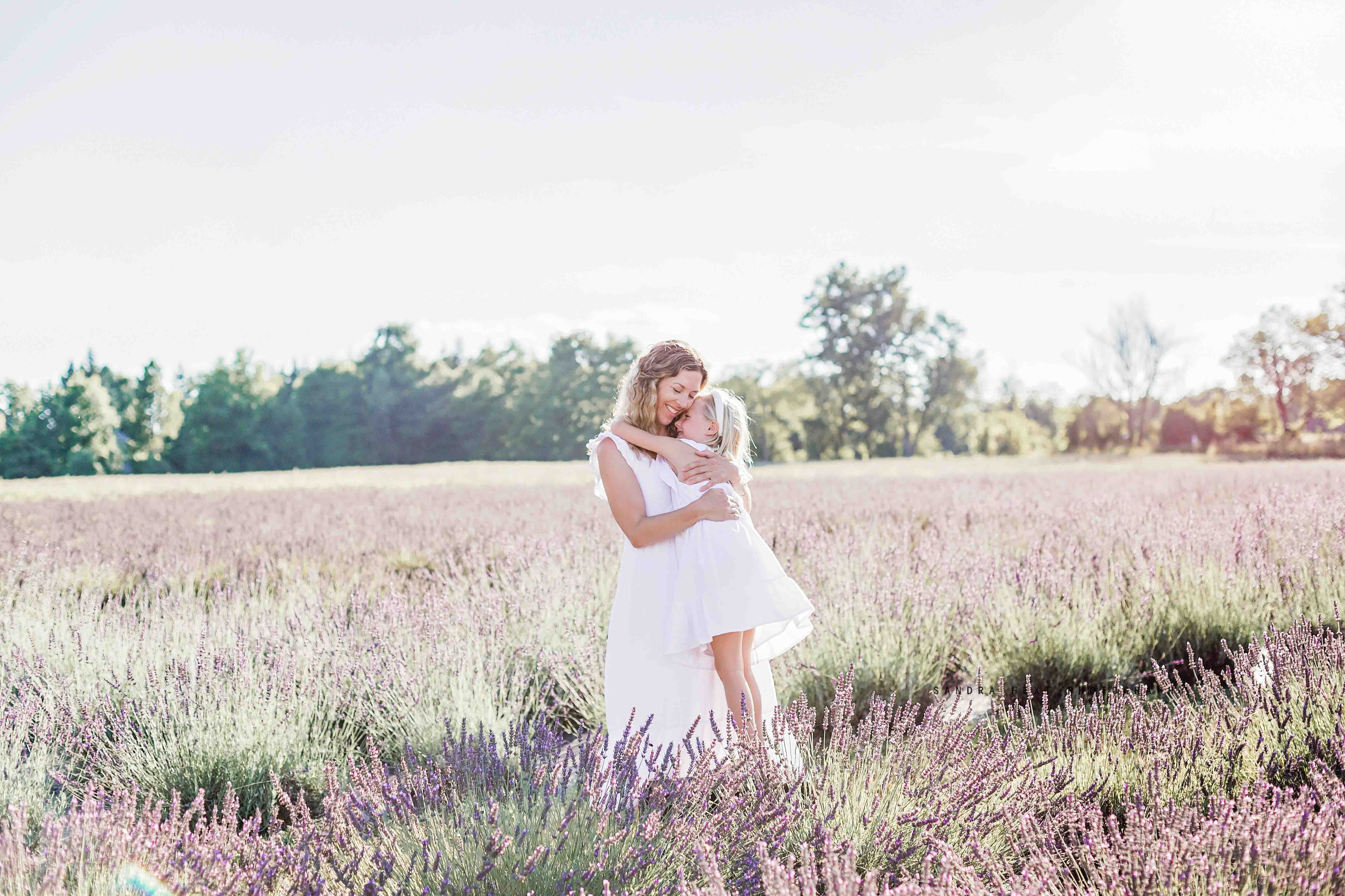 Lavender Field Sessions