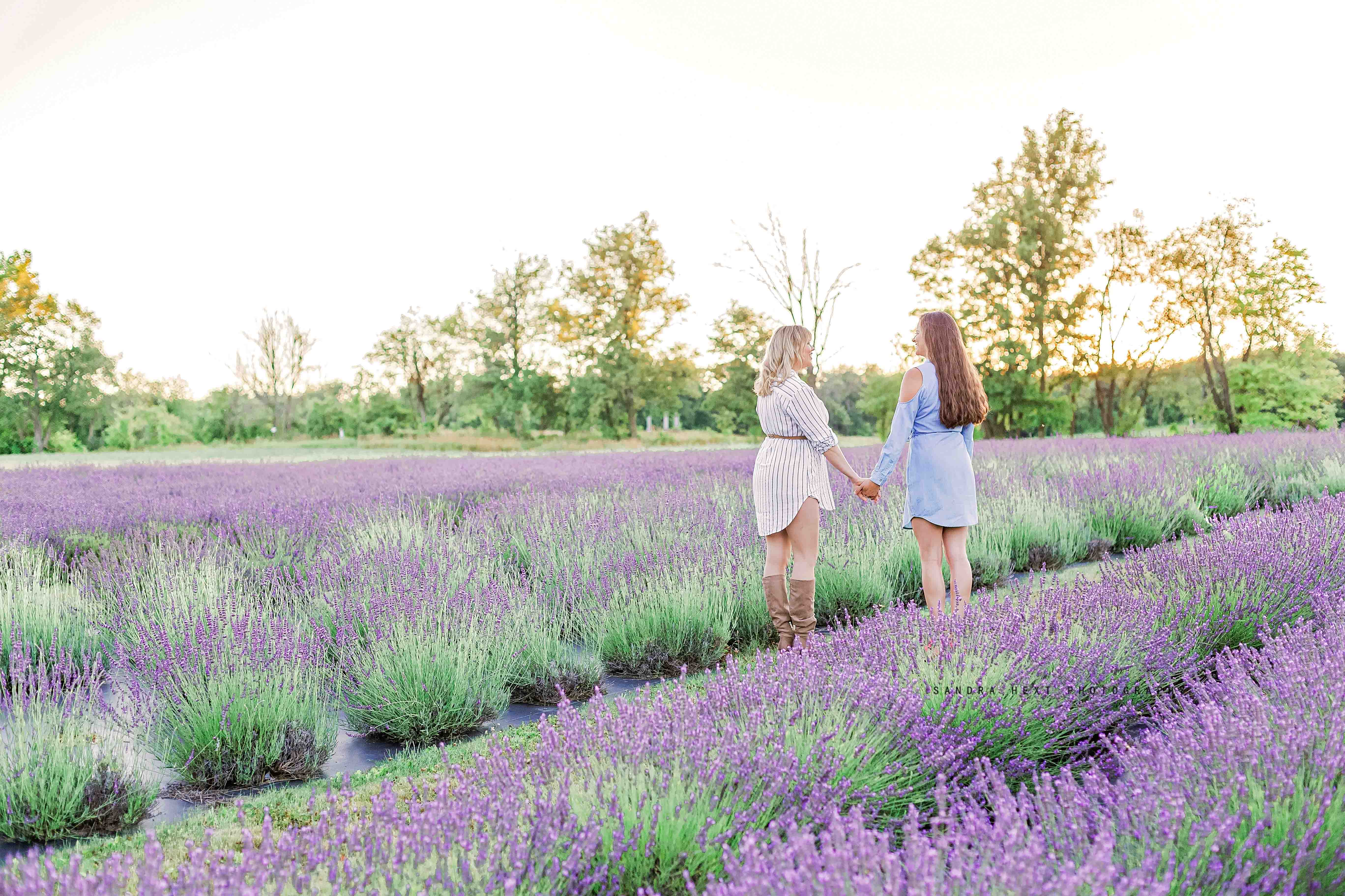Sandra Hext Photography – Hamilton, Ontario
