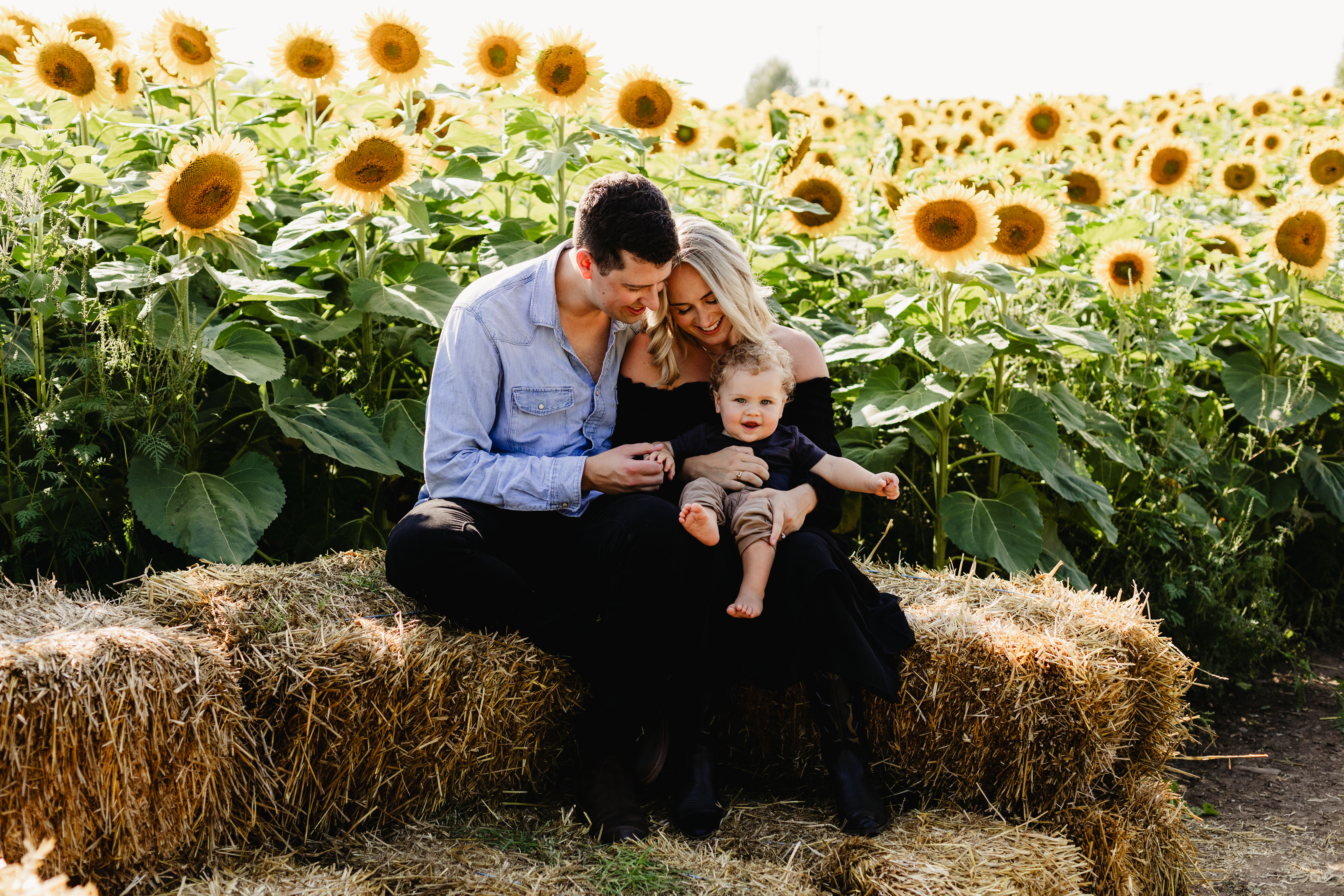 Family sunflower photo session at The Apple Orchard Inc., captured by Sandra Hext Photography. Ideal for vibrant, nature-filled family portraits.