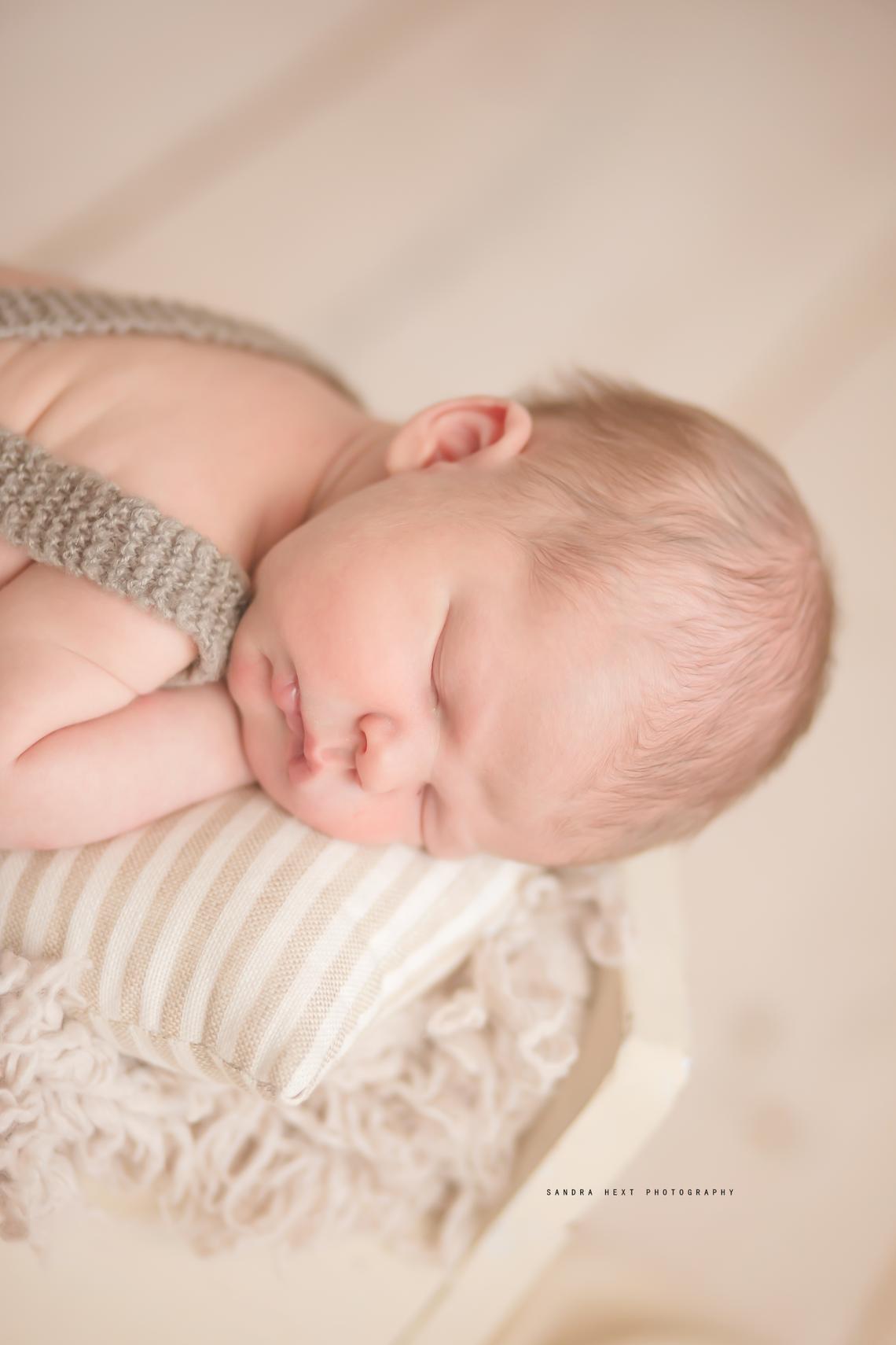 Hamilton newborn photographer